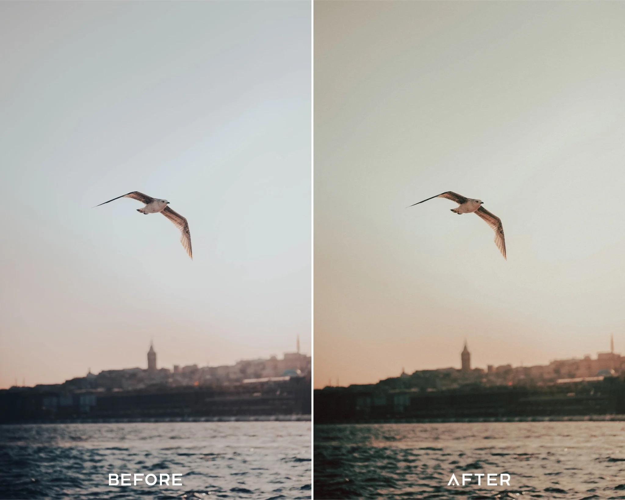 35MM Capture One Styles Collection - Image 5
