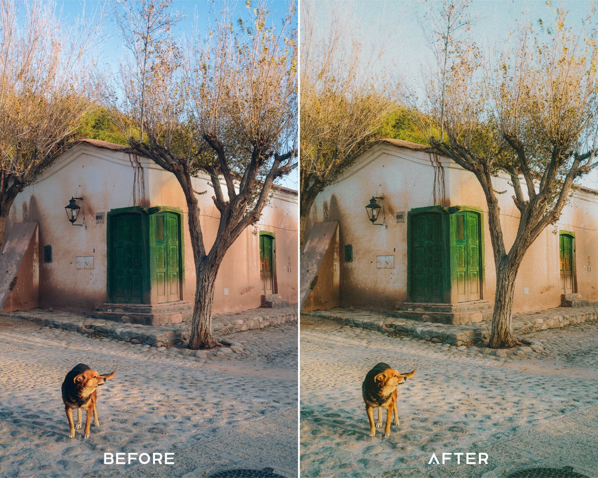 35MM Film Preset Collection - Image 3