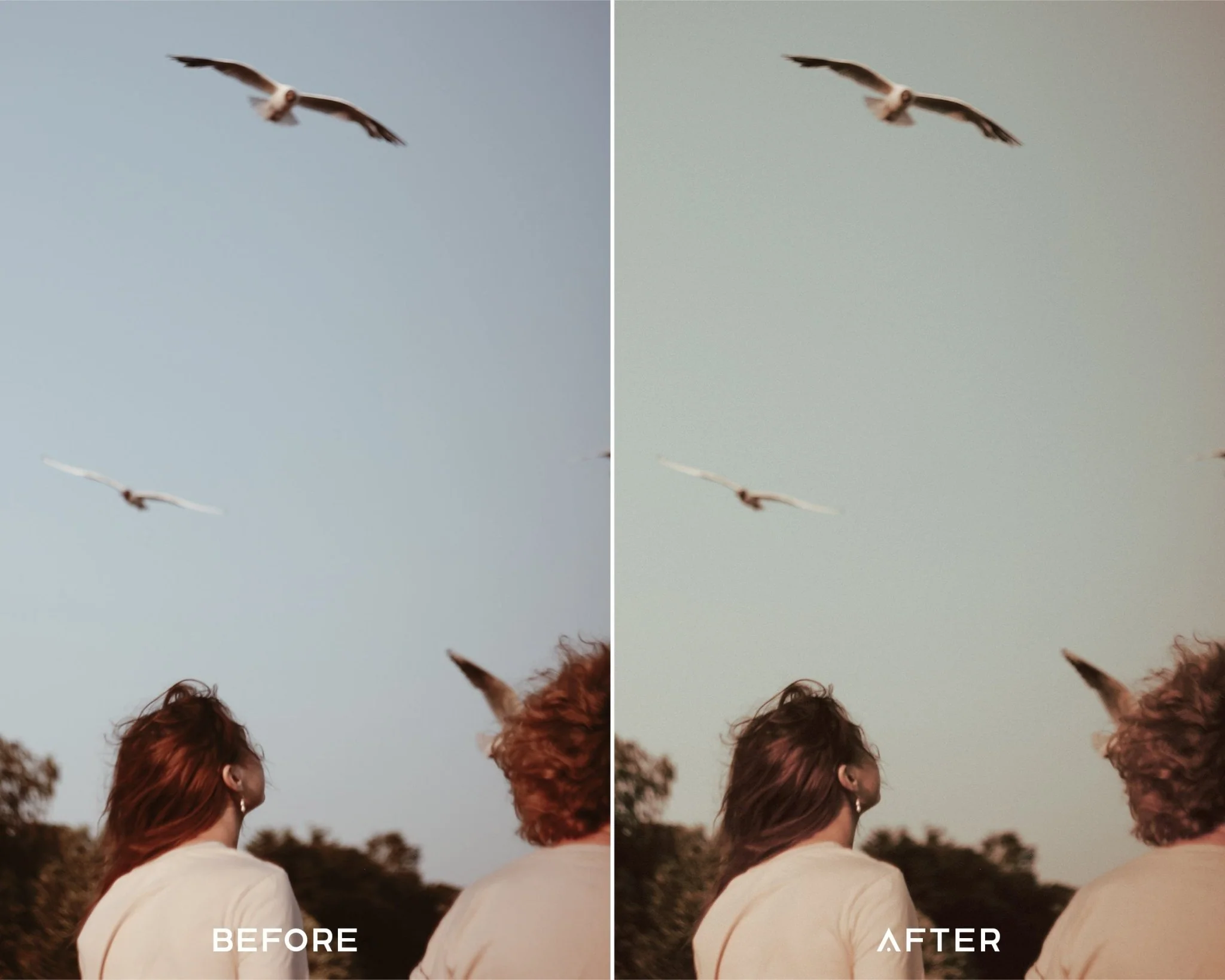35MM - Luminar NEO Presets - Image 6