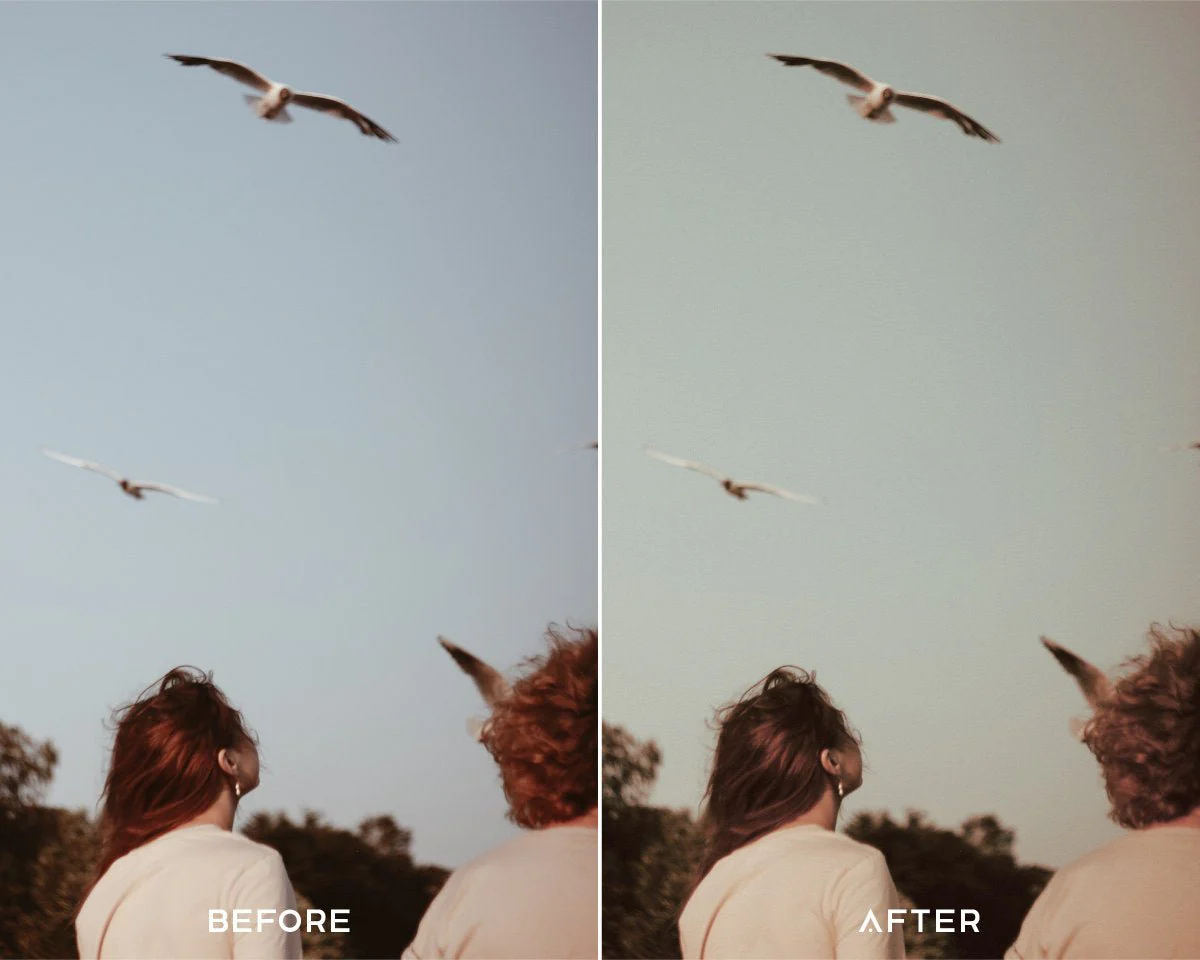 35MM Preset Collection - Image 5