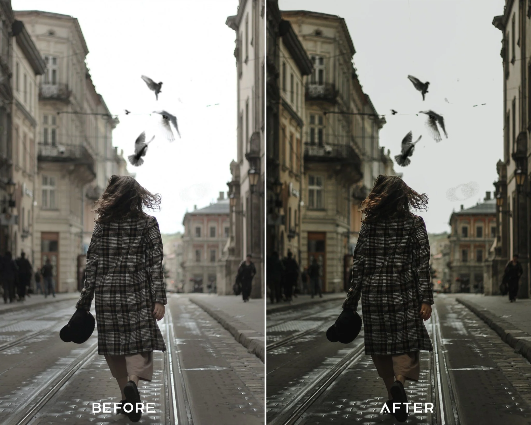 Aesthetic Presets Collection - Image 4