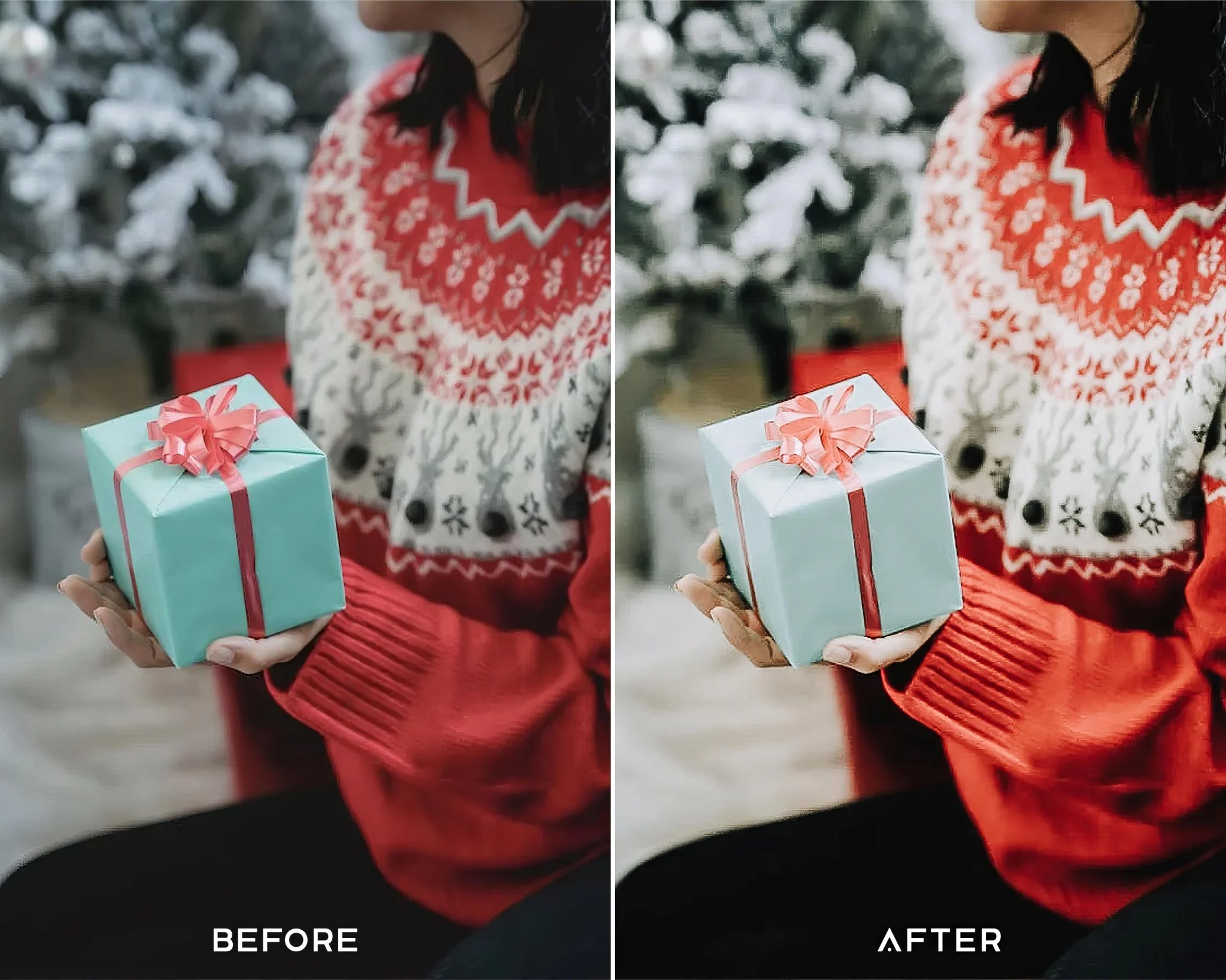Christmas Preset Collection - Image 5