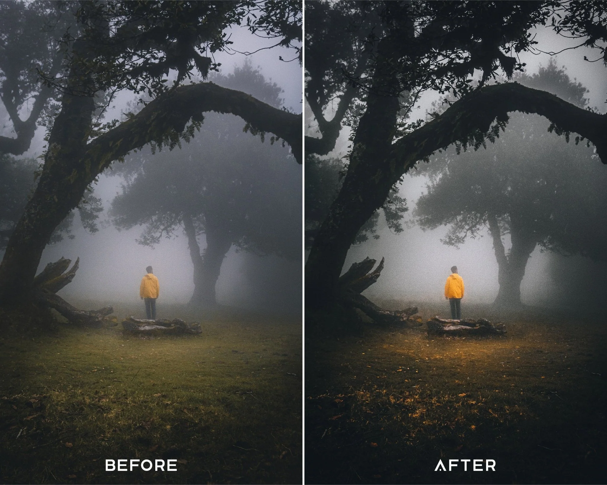Cinematic Capture One Styles Collection - Image 3
