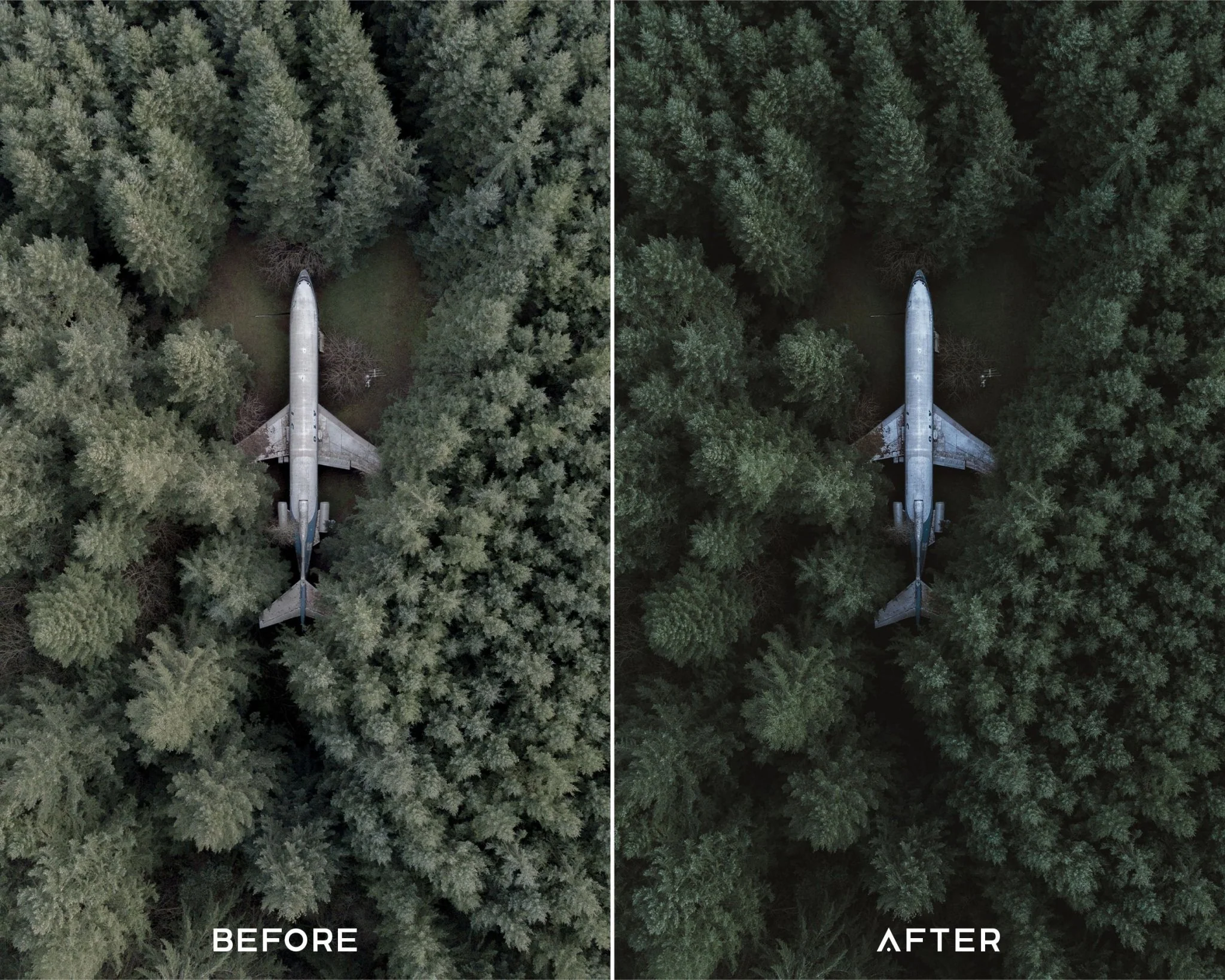 Cinematic Green Capture One Styles Collection - Image 5