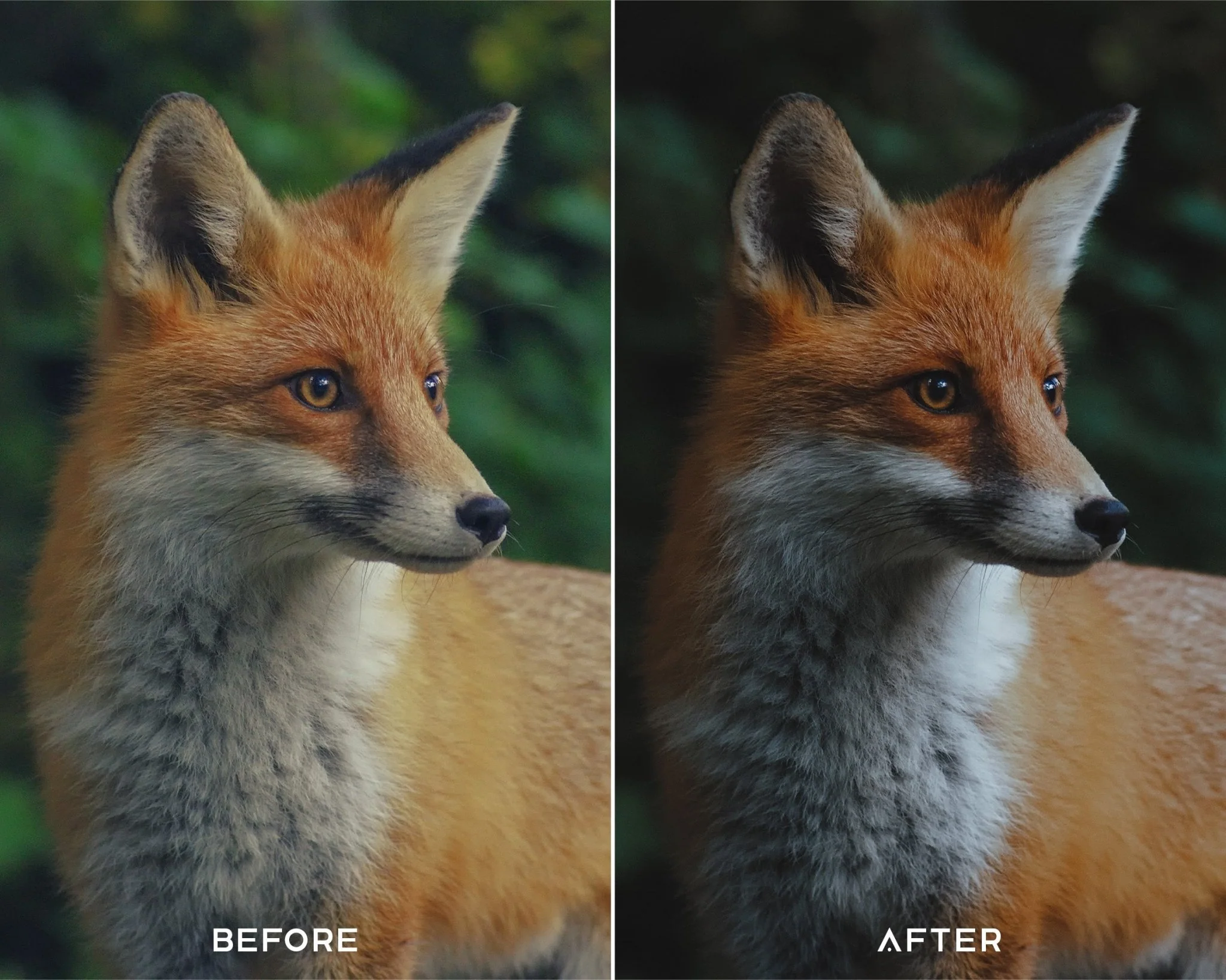 Cinematic Green Preset Collection - Image 3
