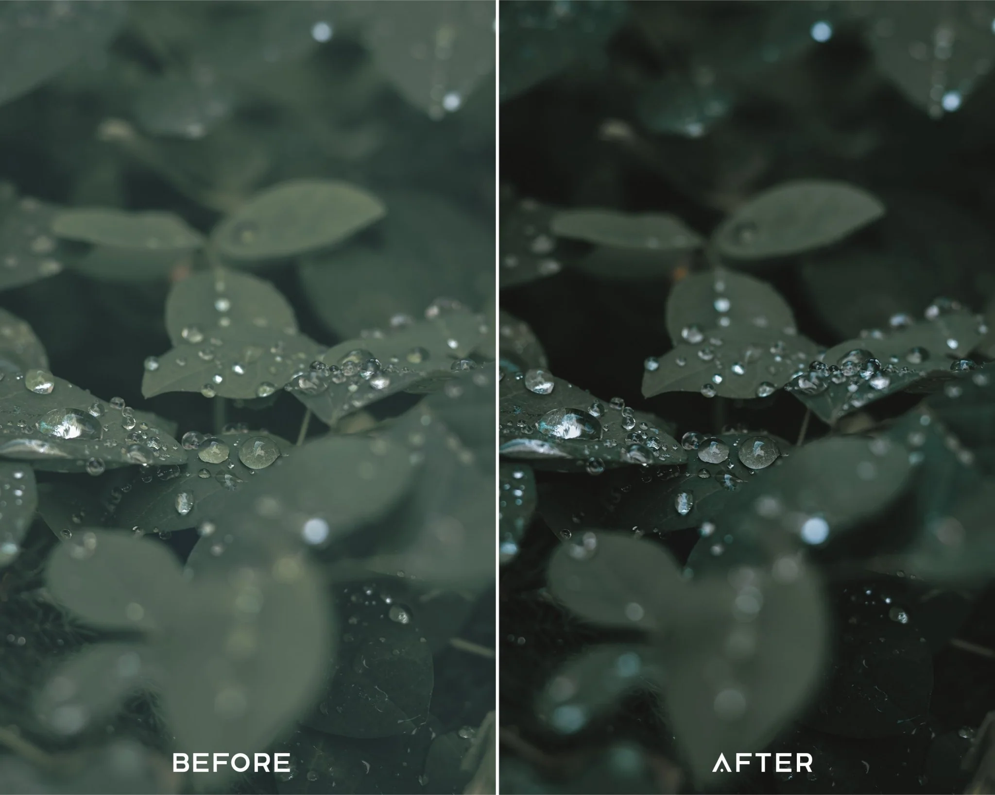 Cinematic Green Preset Collection - Image 5