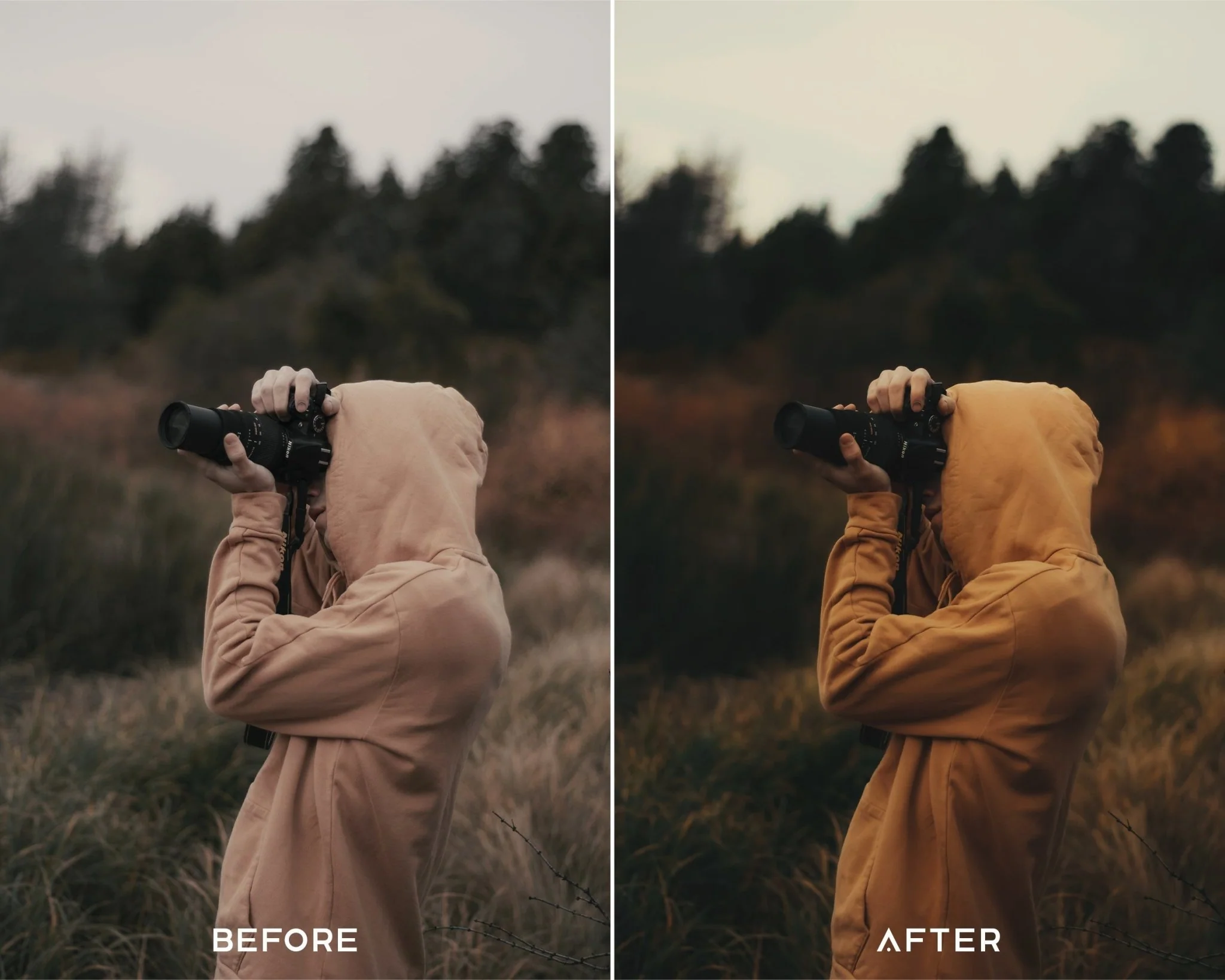 Cinestill - Luminar NEO Presets - Image 4