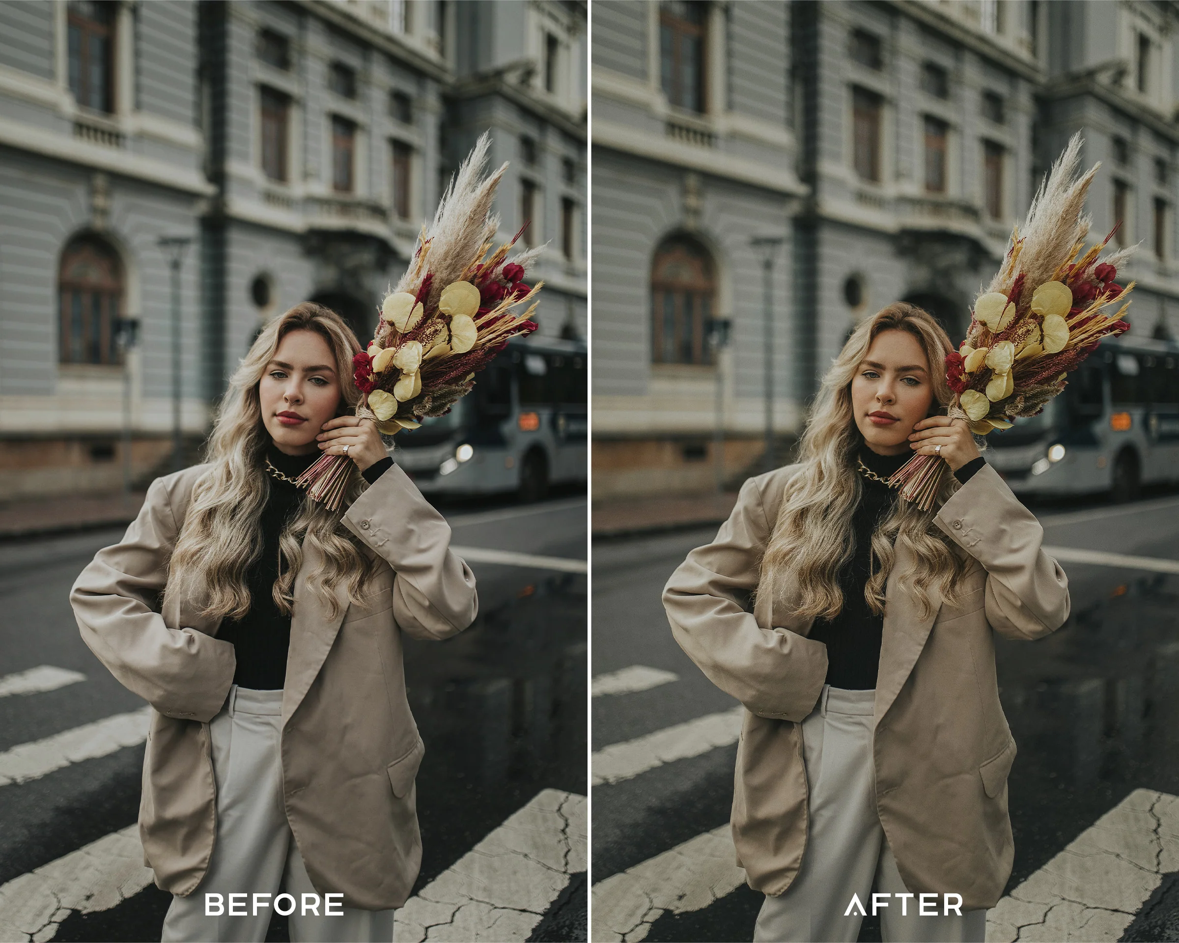 Classic Film Preset Collection - Image 5