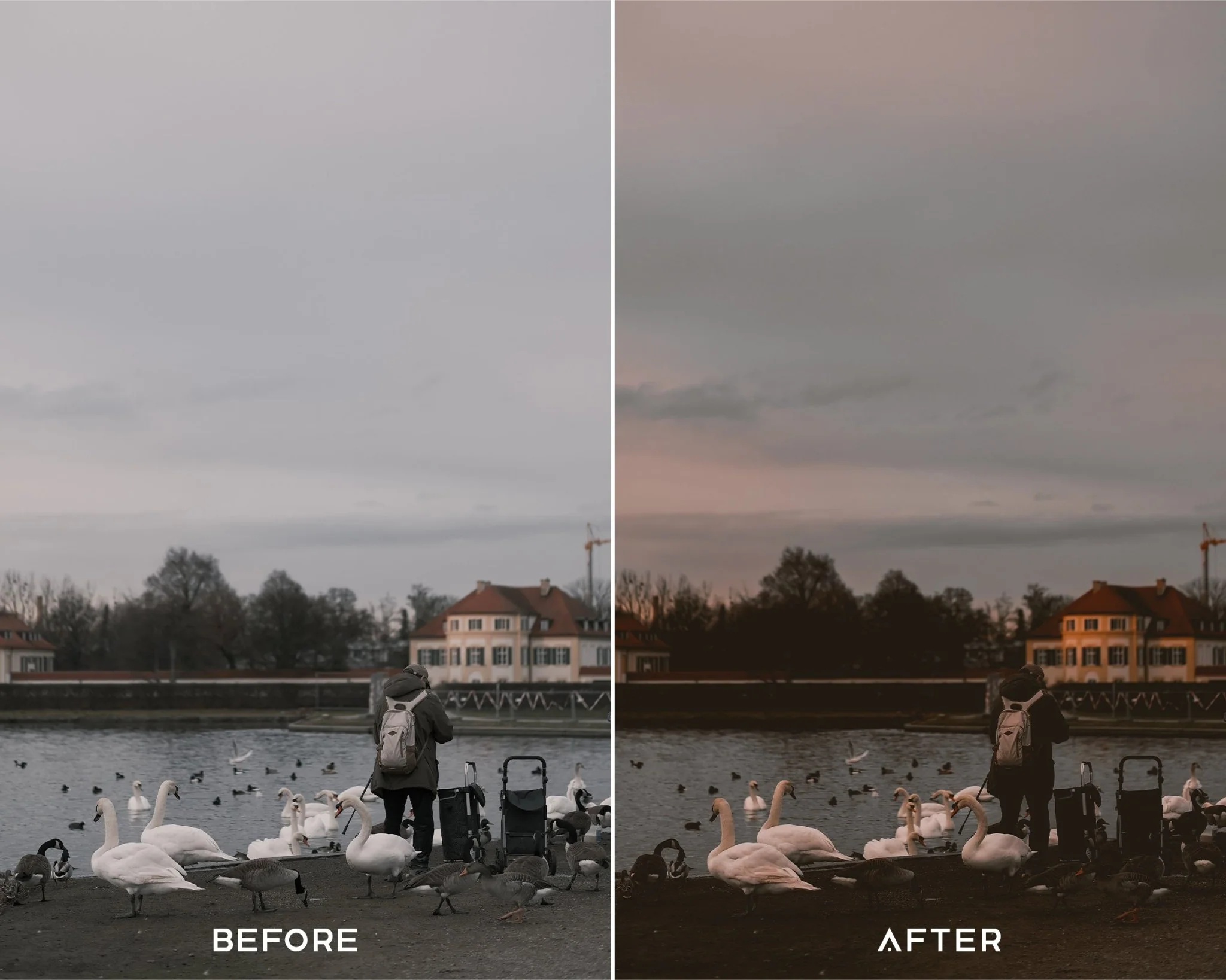 Dark Academia - Luminar NEO Presets - Image 4