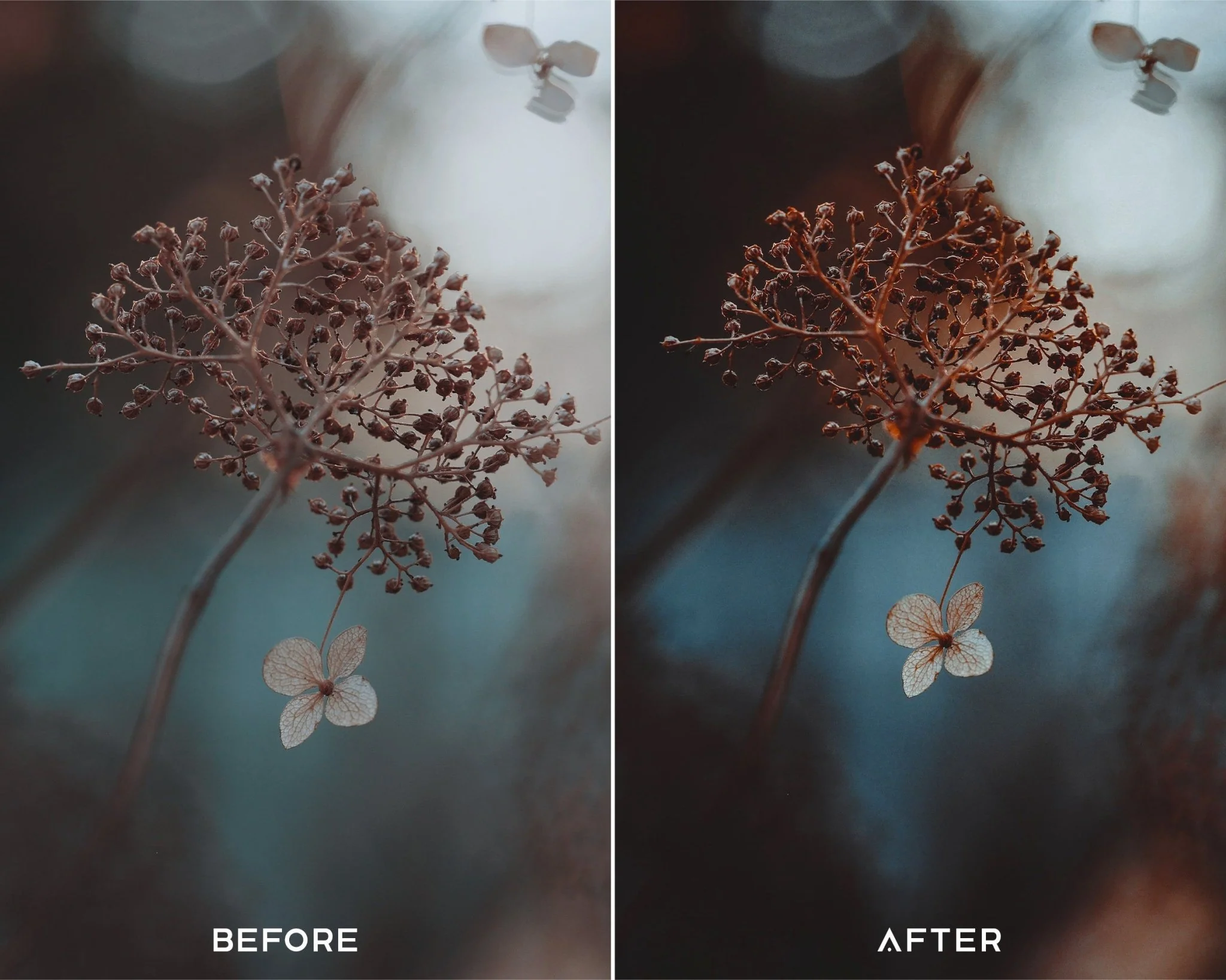 Dark Brown Preset Collection - Image 3