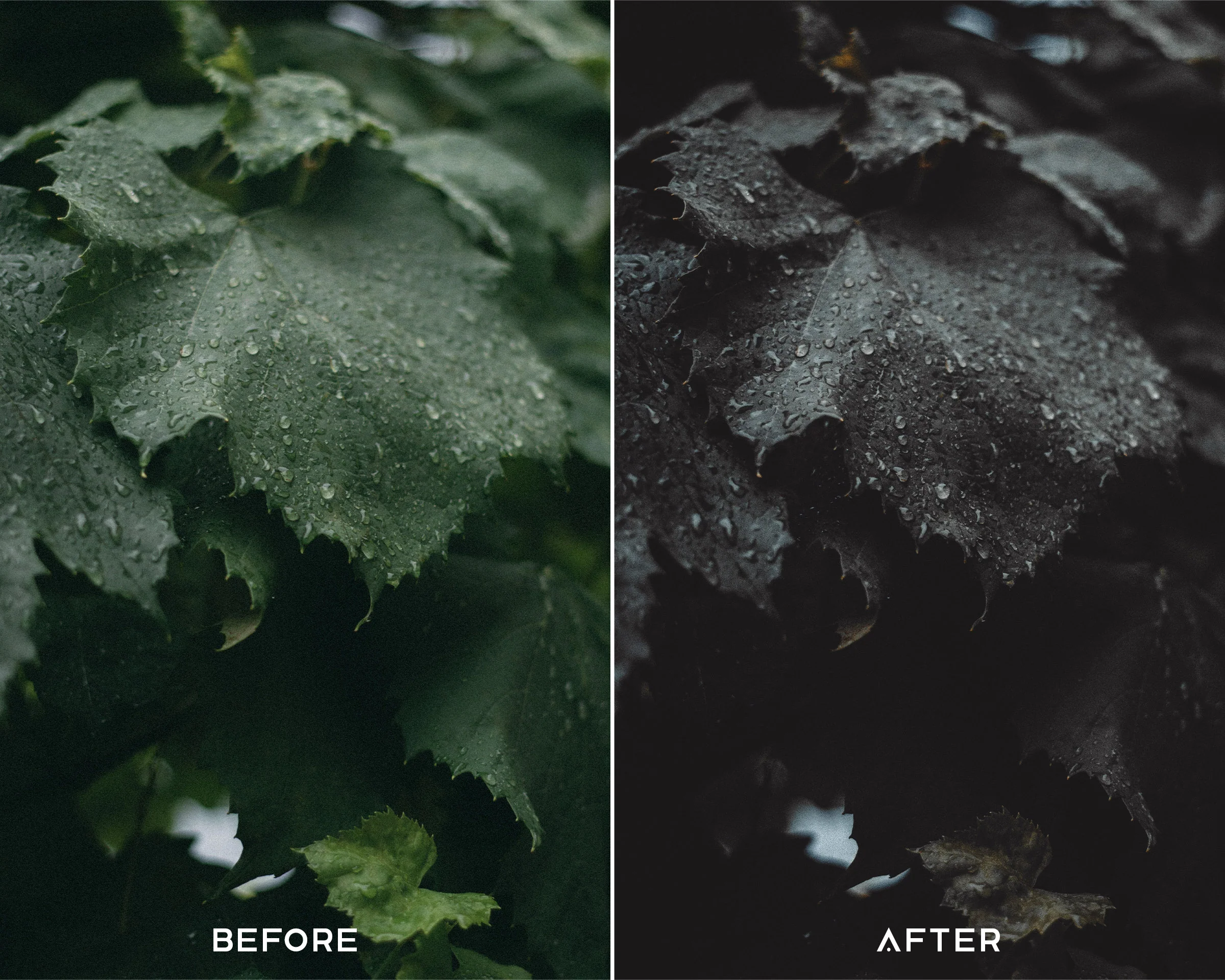 Dark Brown Preset Collection - Image 5