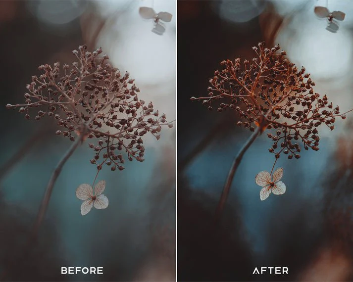 Dark Brown - Luminar NEO Presets - Image 3