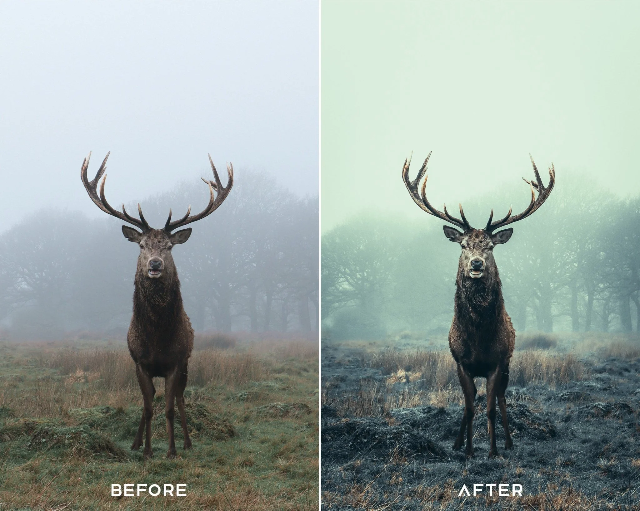 Deep Moody Preset Collection - Image 4