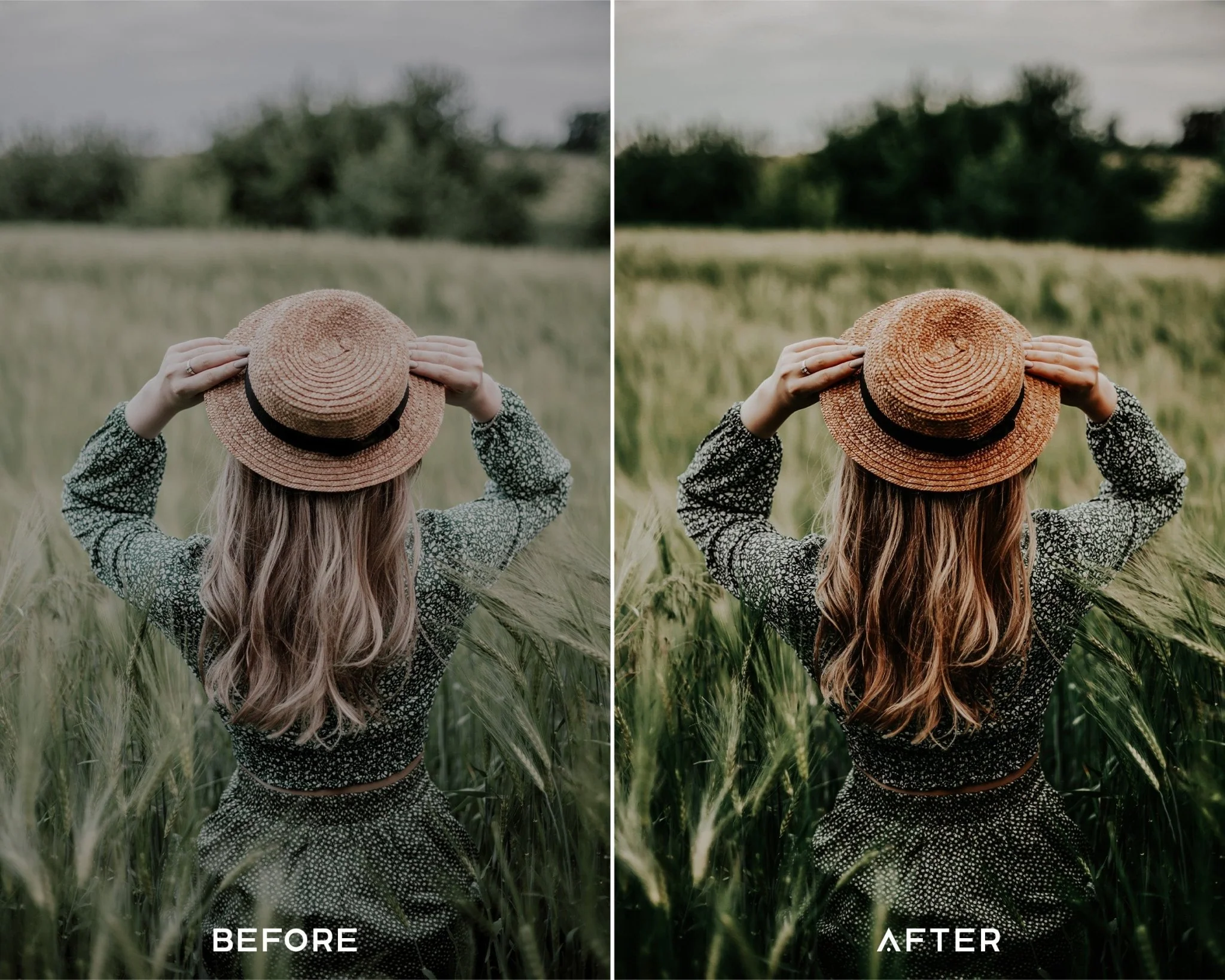 Earthy - luminar NEO Presets - Image 2