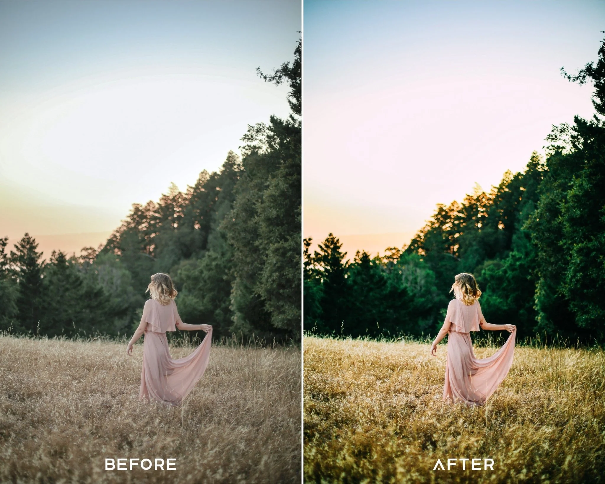 Elopement Preset Collection - Image 5