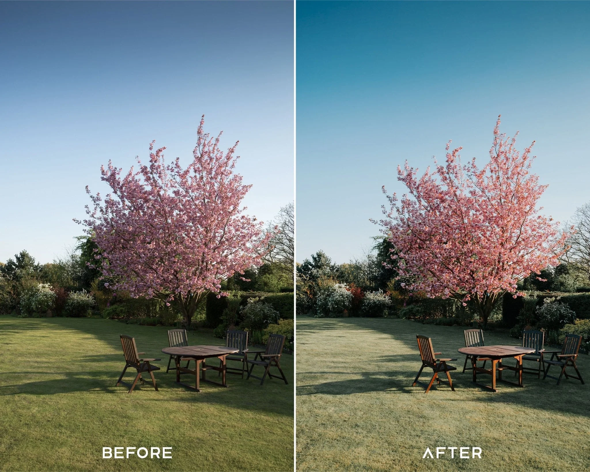 Evergreen Preset Collection - Image 3
