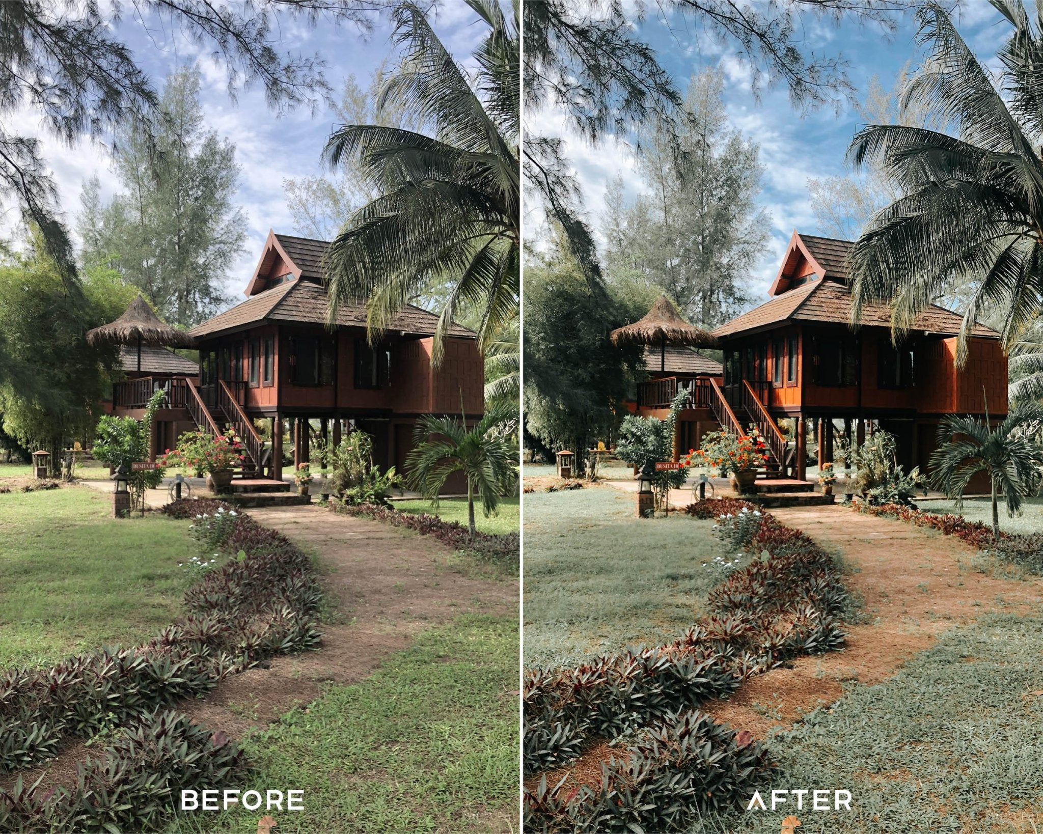 Evergreen Preset Collection - Image 4