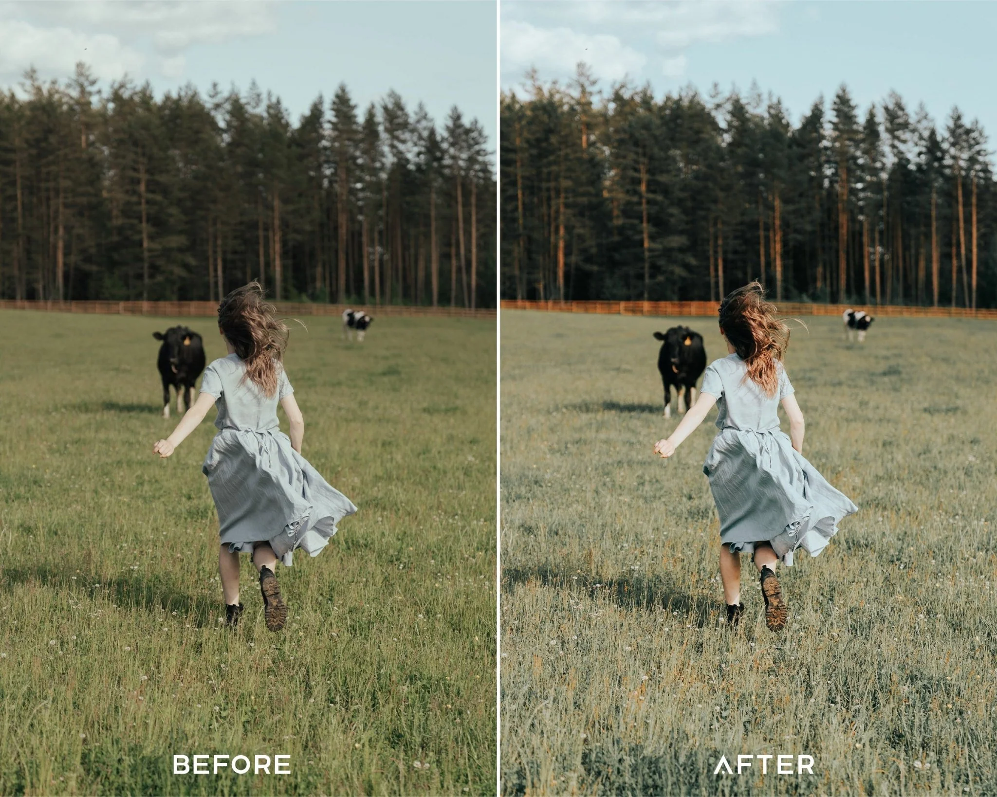 Evergreen Preset Collection - Image 5