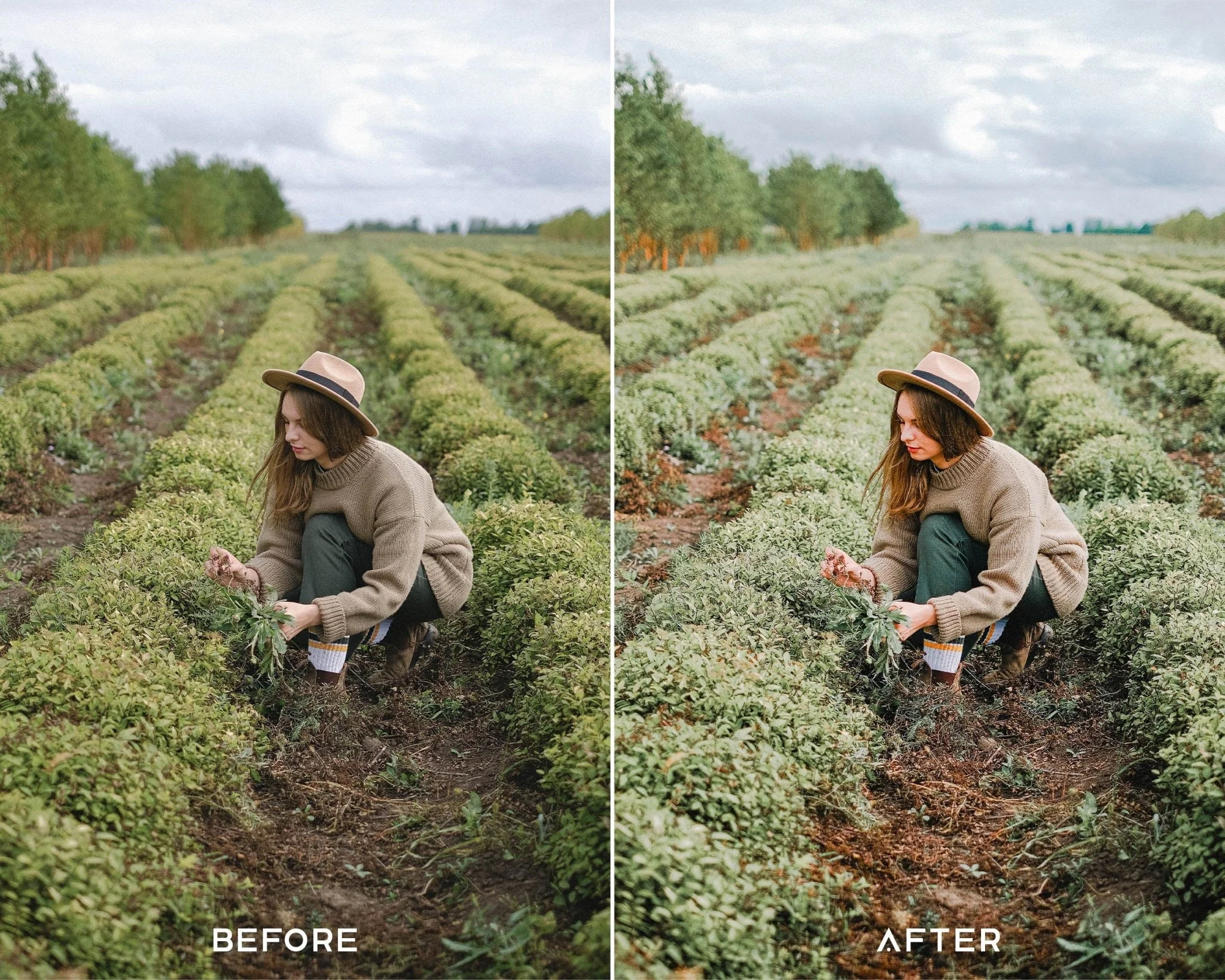 Evergreen Preset Collection - Image 6