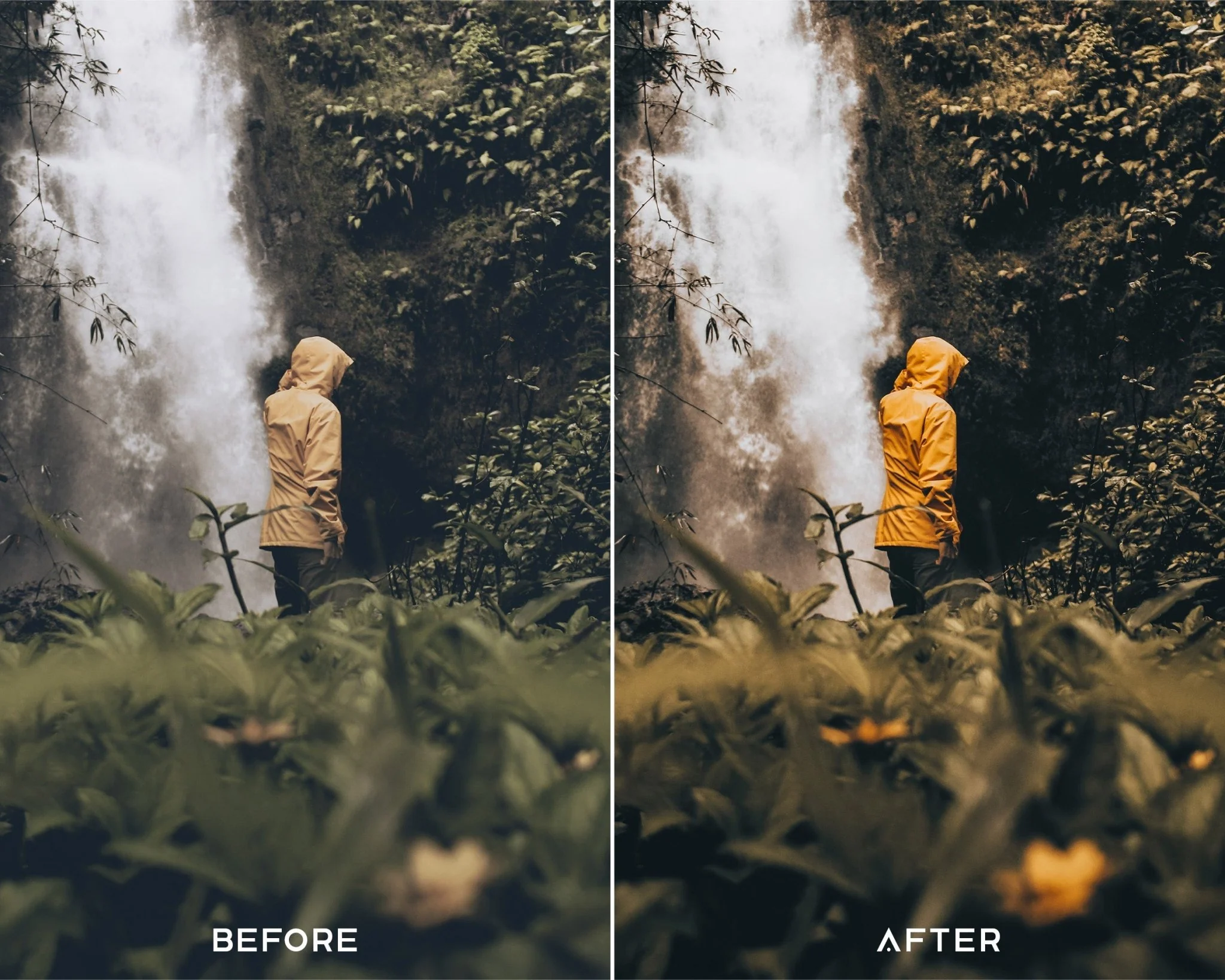 Explore Capture One Styles Collecion - Image 3