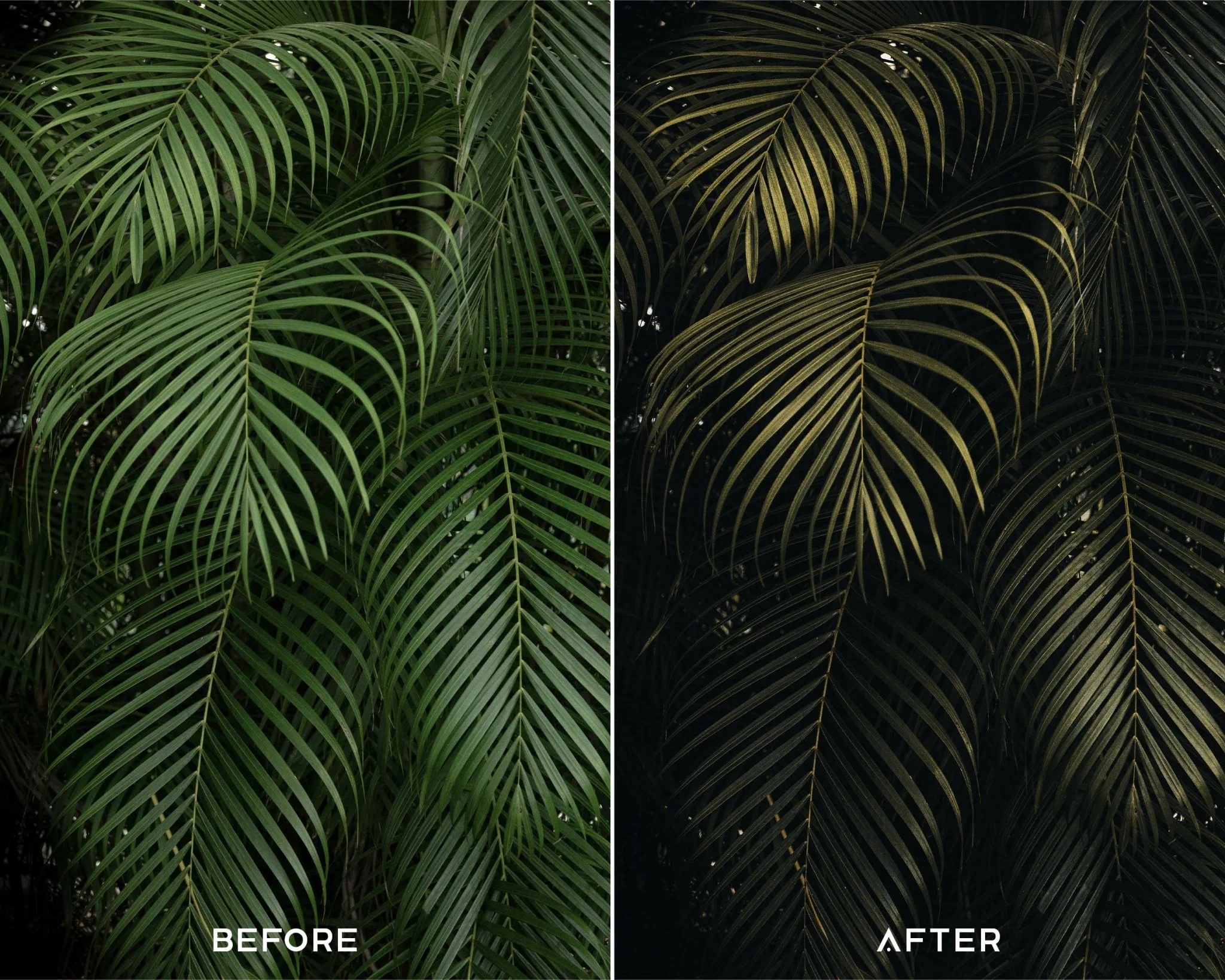 Explore Capture One Styles Collecion - Image 4