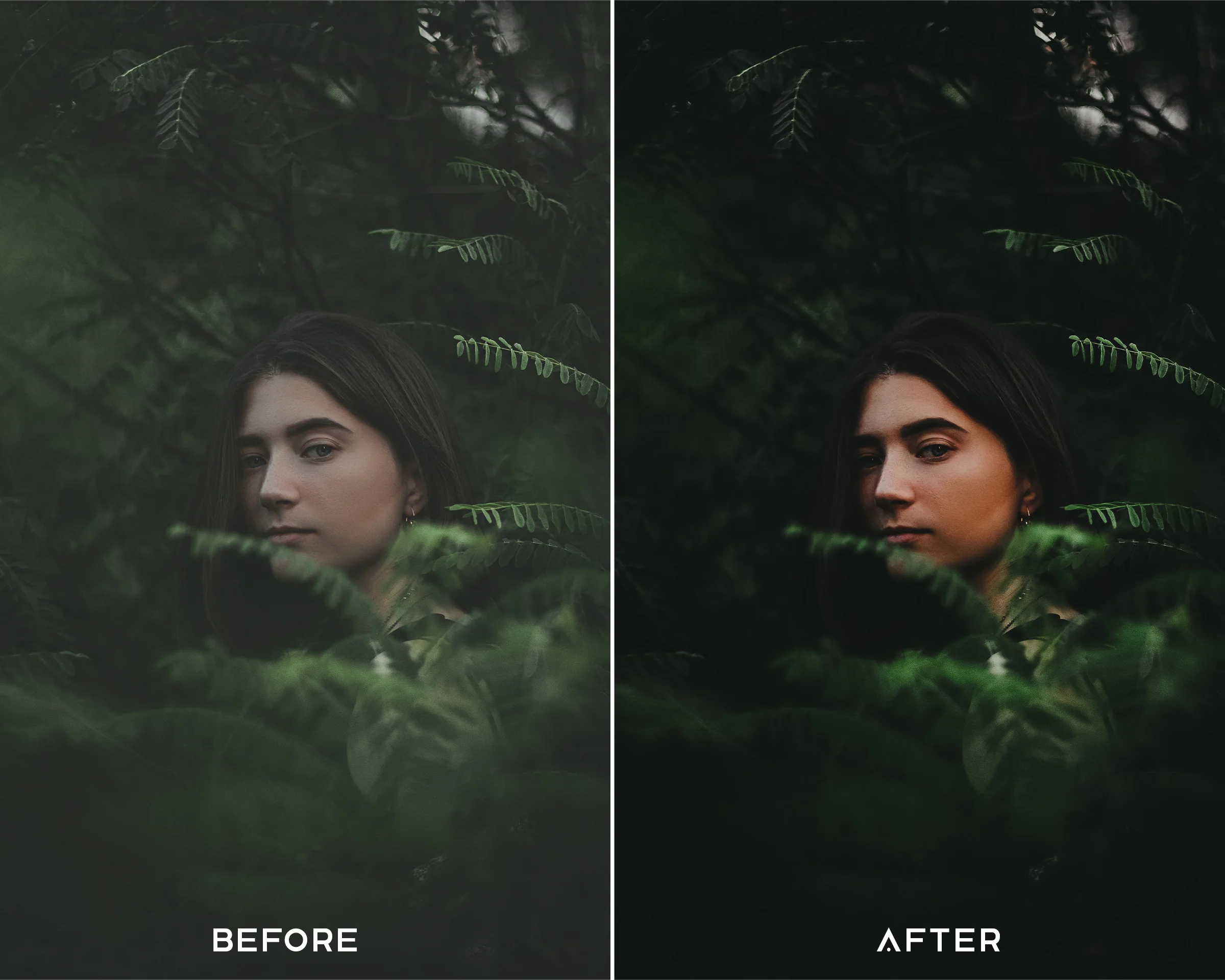 Film Grade Preset Collection - Image 6