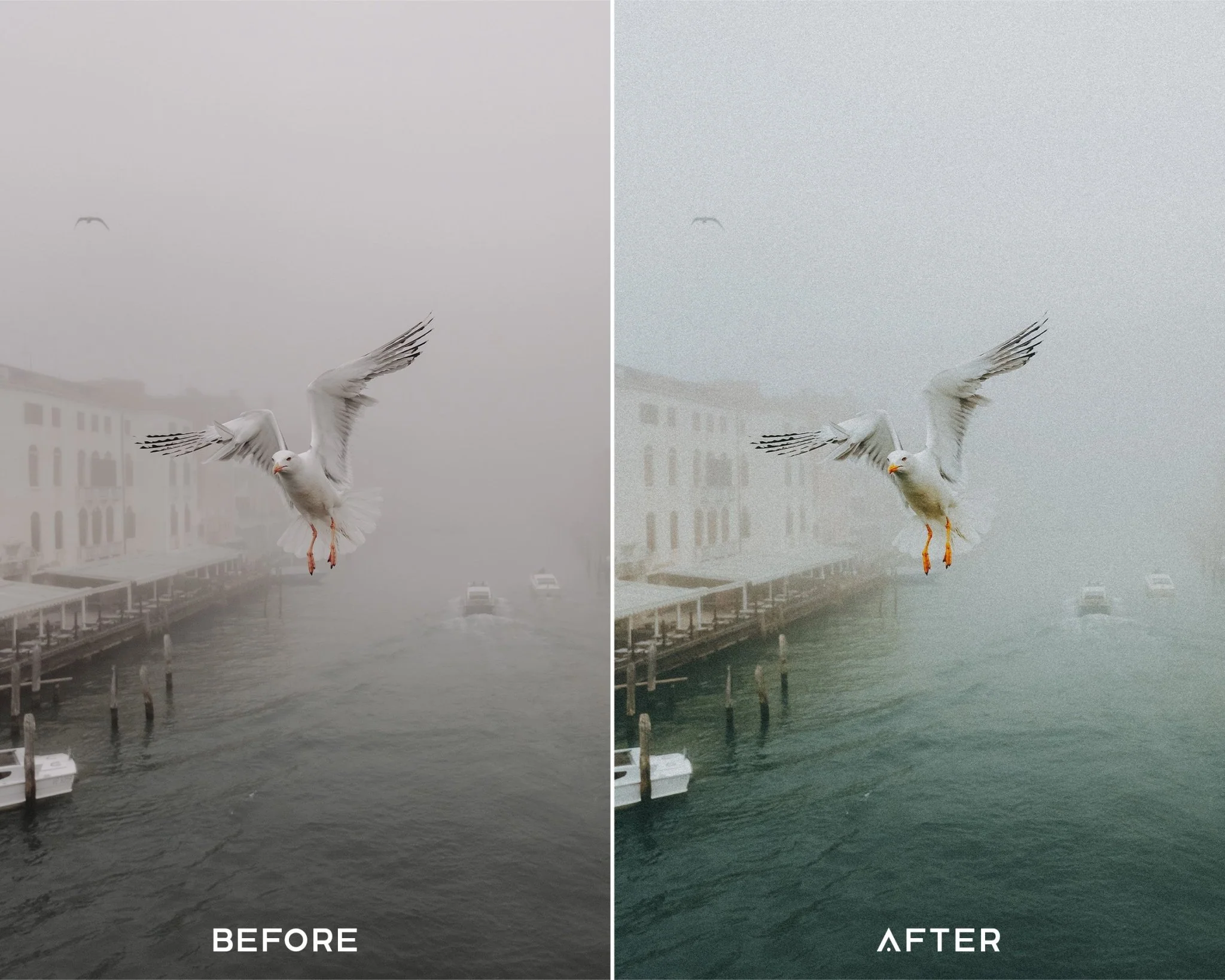 Film II - Luminar NEO Presets - Image 2