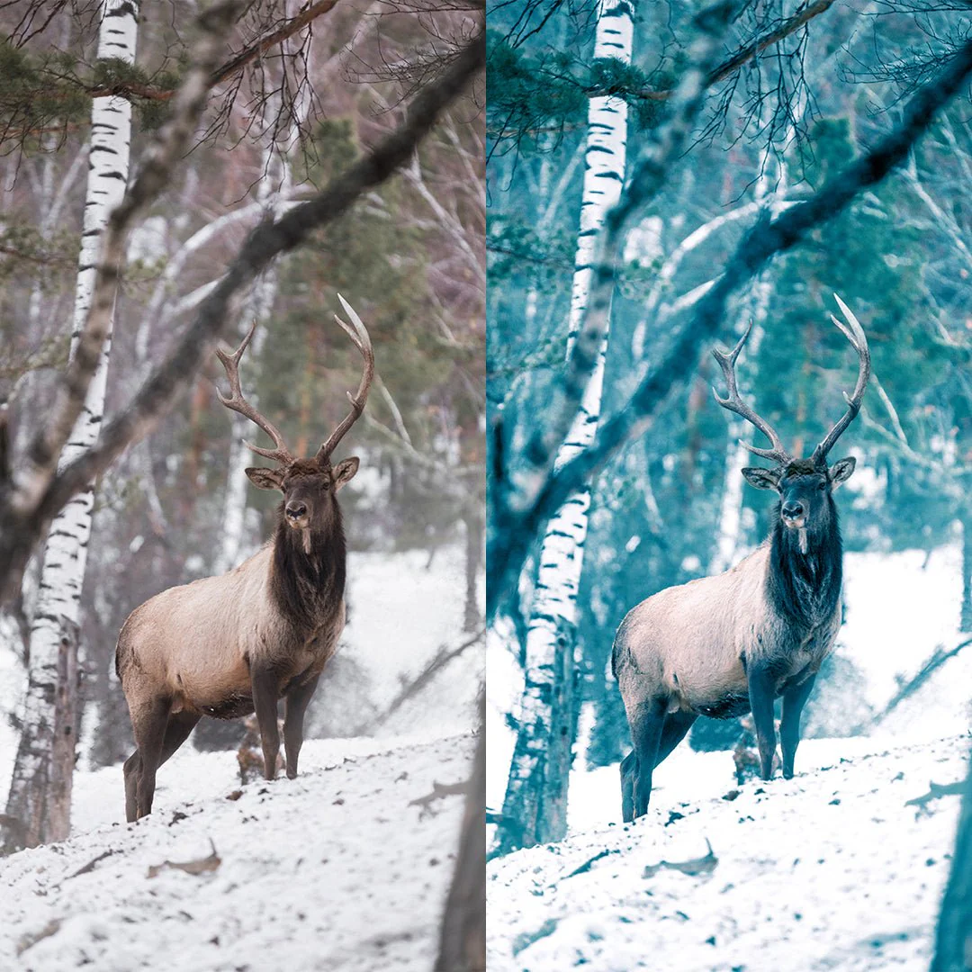 Frozen Preset Collection - Image 8