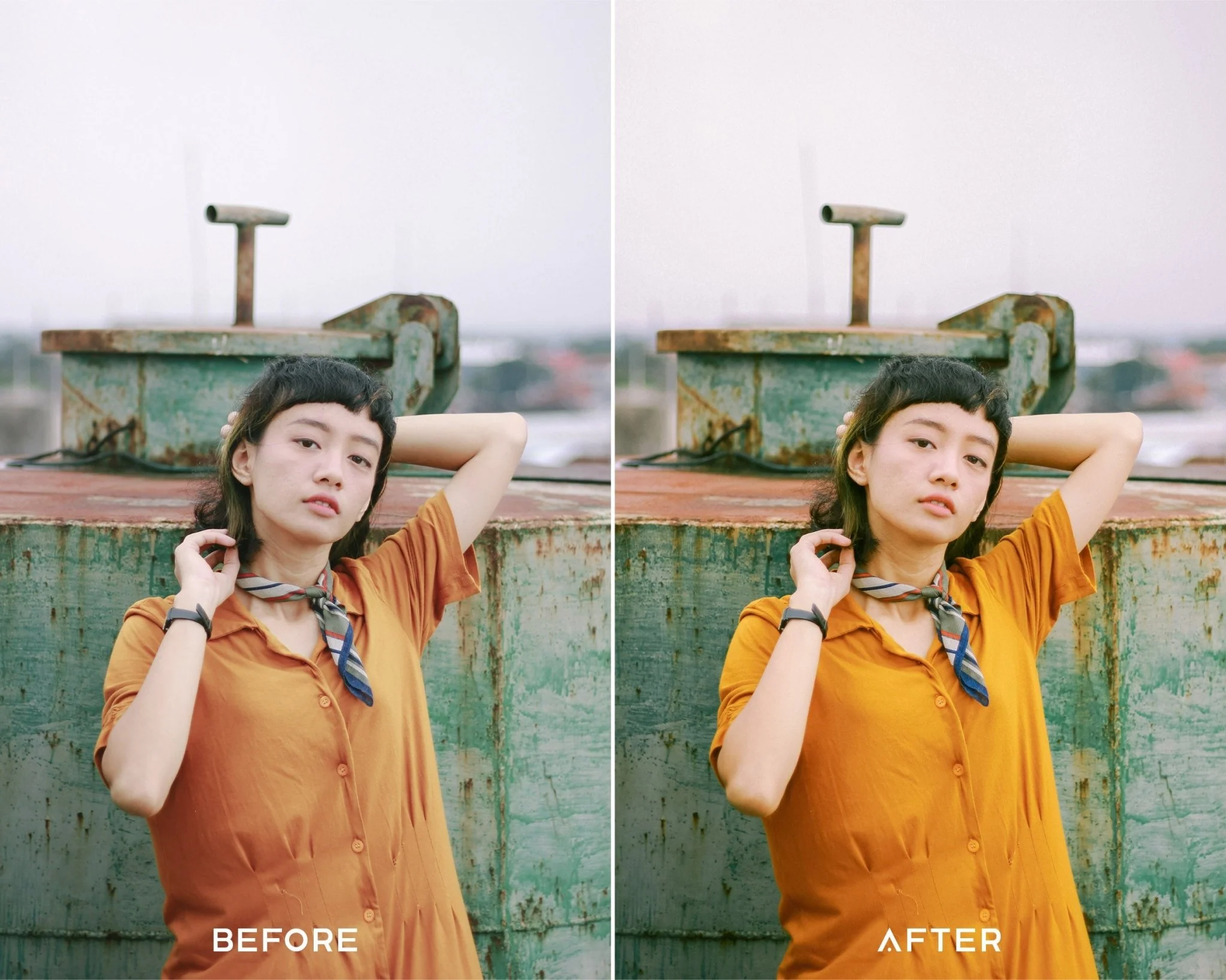 Fuji Film - Luminar NEO Presets - Image 2