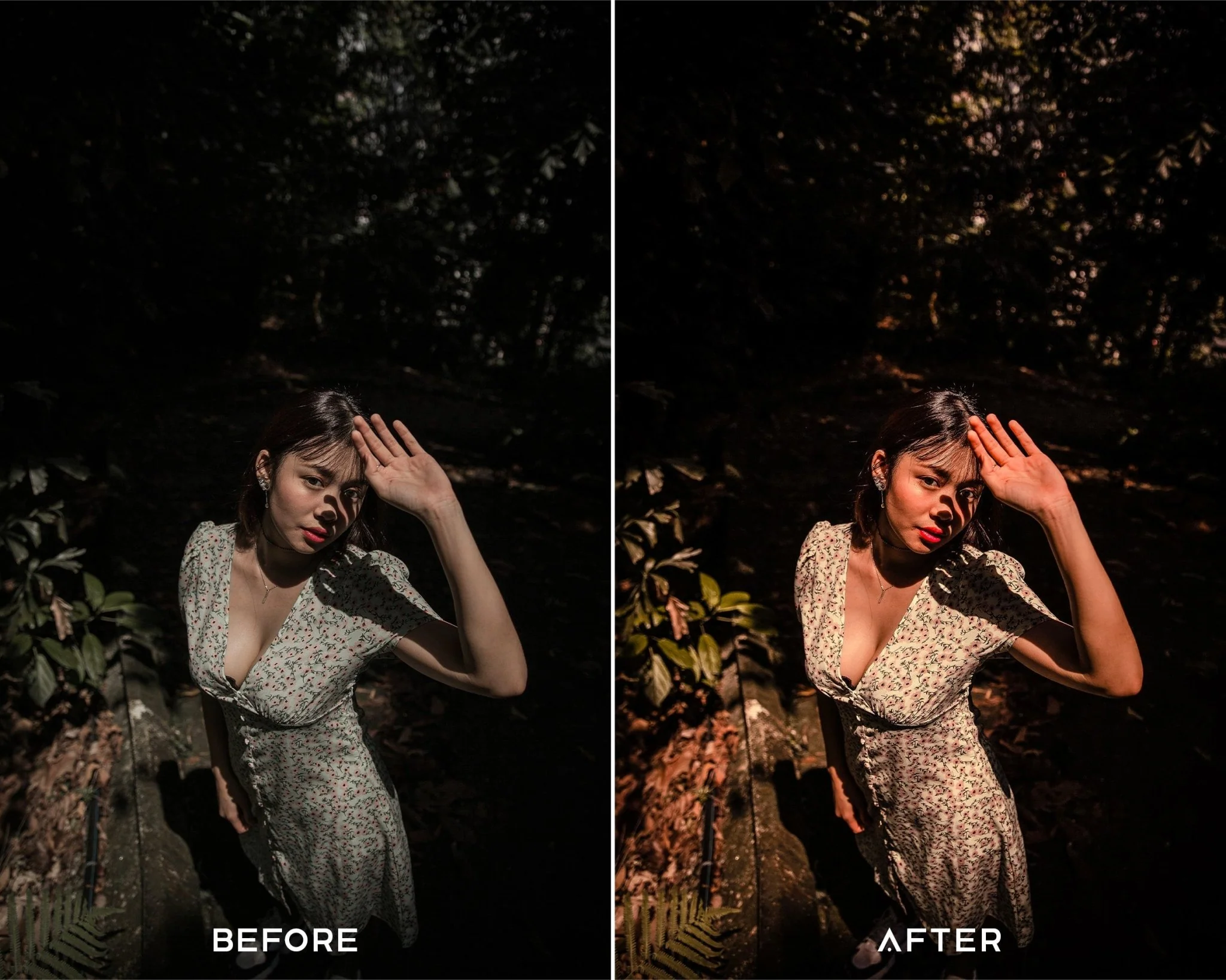 Golden Hour Preset Collection - Image 2
