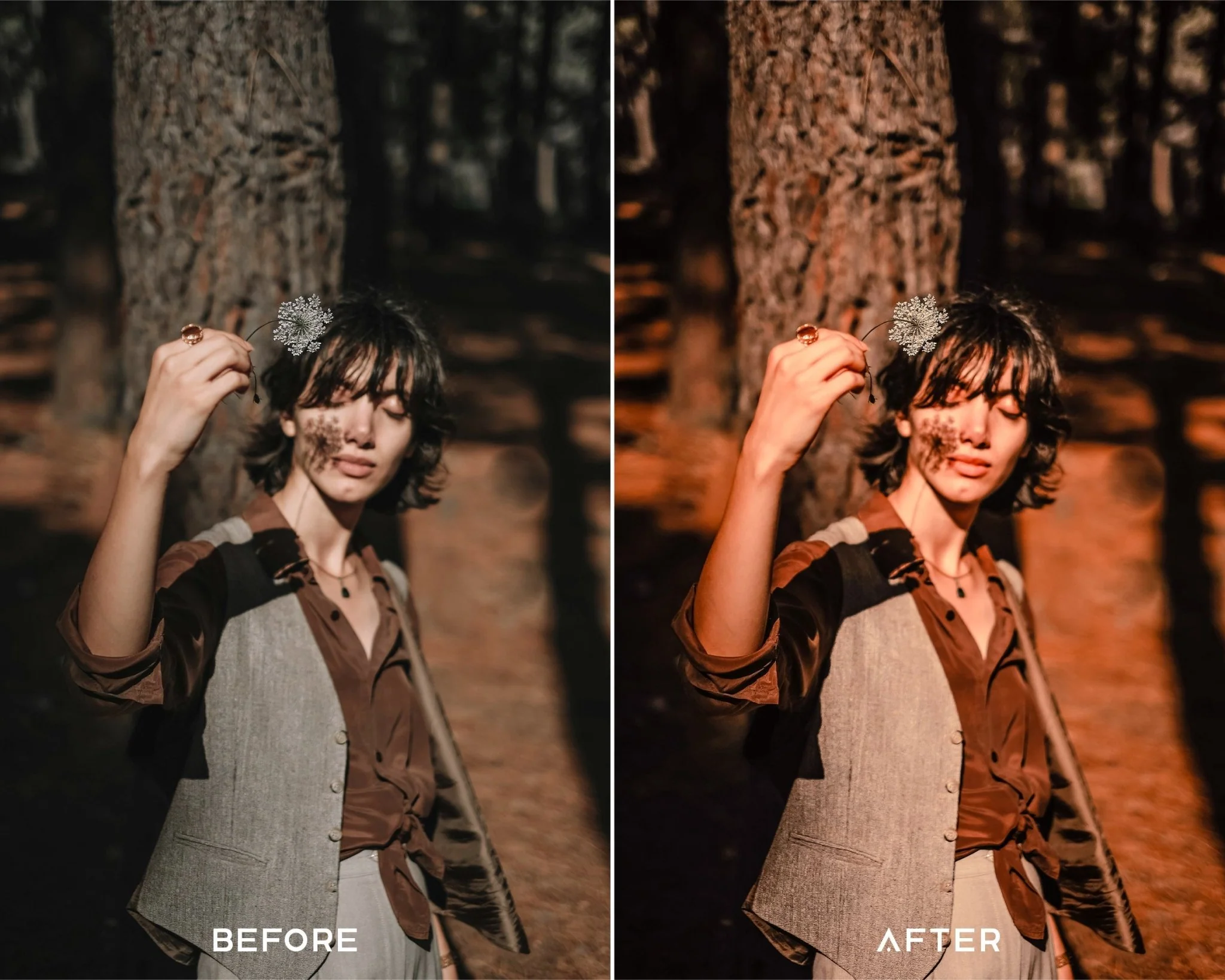 Golden Hour Preset Collection - Image 6