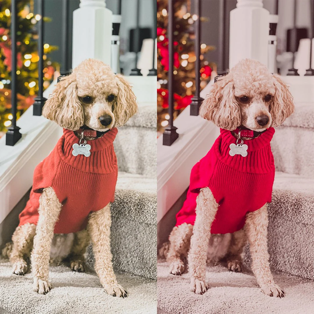 Holiday Red Preset Collection - Image 5
