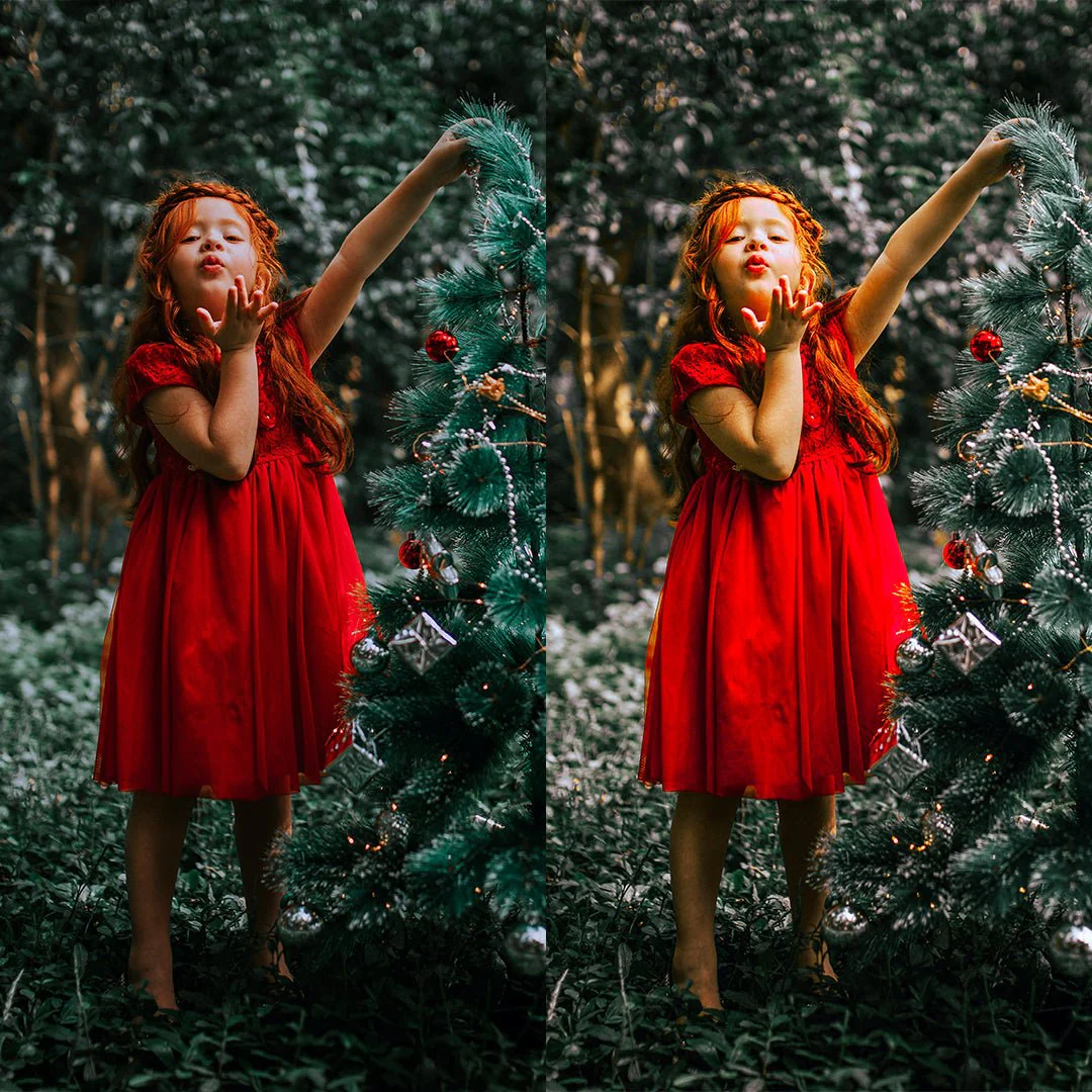 Joyful Christmas Preset Collection - Image 10
