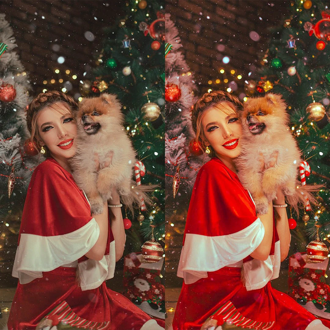 Joyful Christmas Preset Collection - Image 3