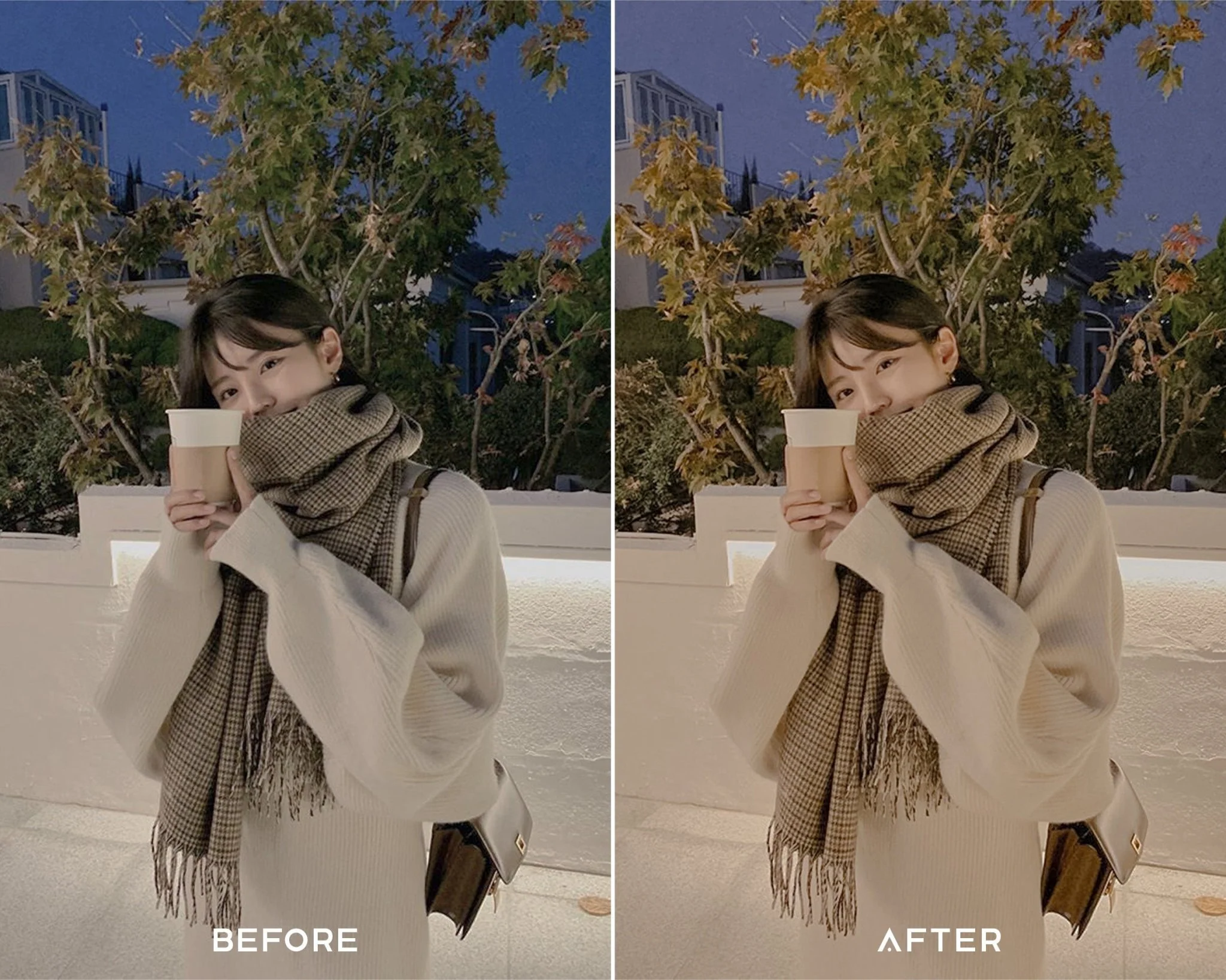 Korean Tone Preset Collection - Image 5