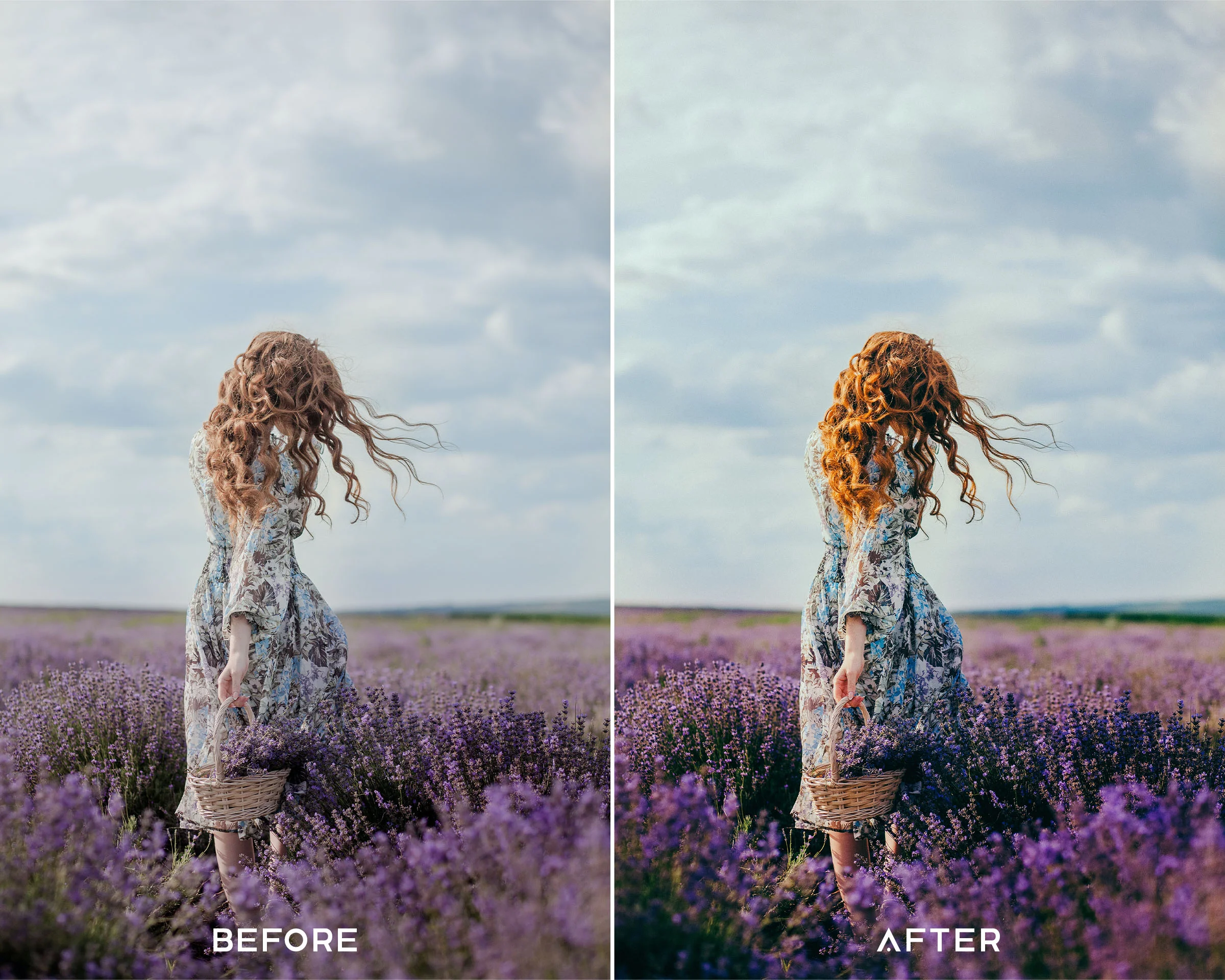 Lavender Preset Collection - Image 2