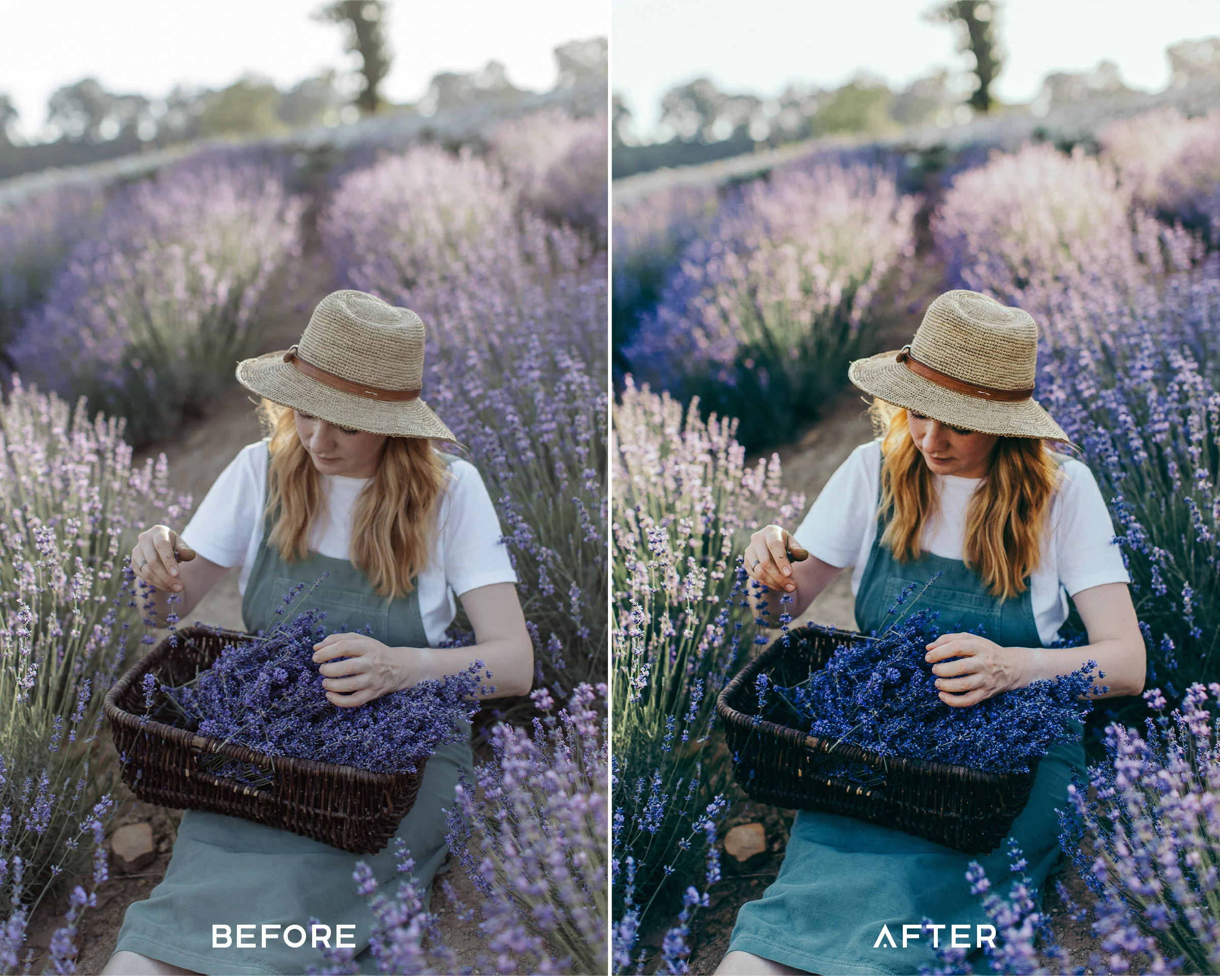 Lavender Preset Collection - Image 4