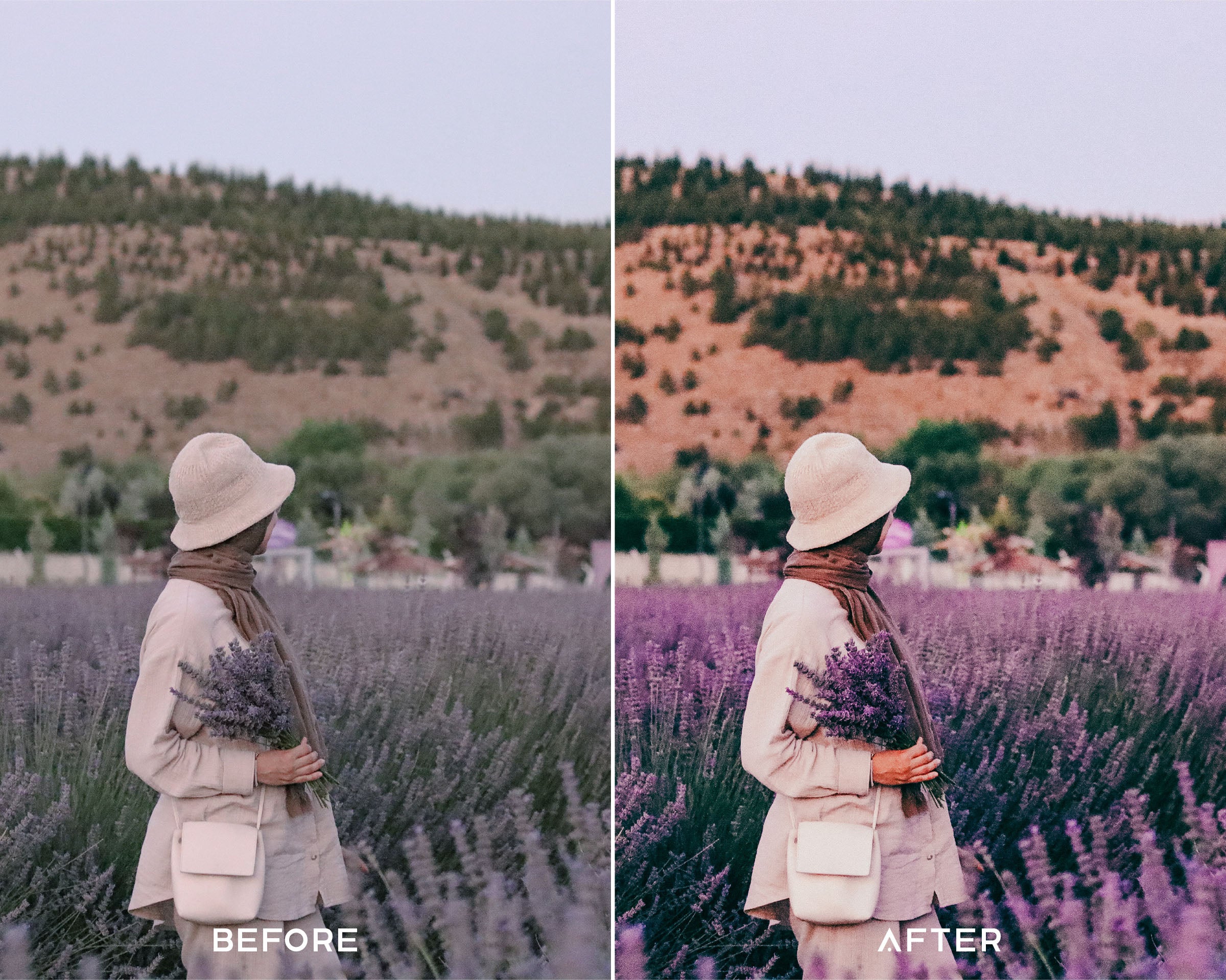 Lavender Preset Collection - Image 5