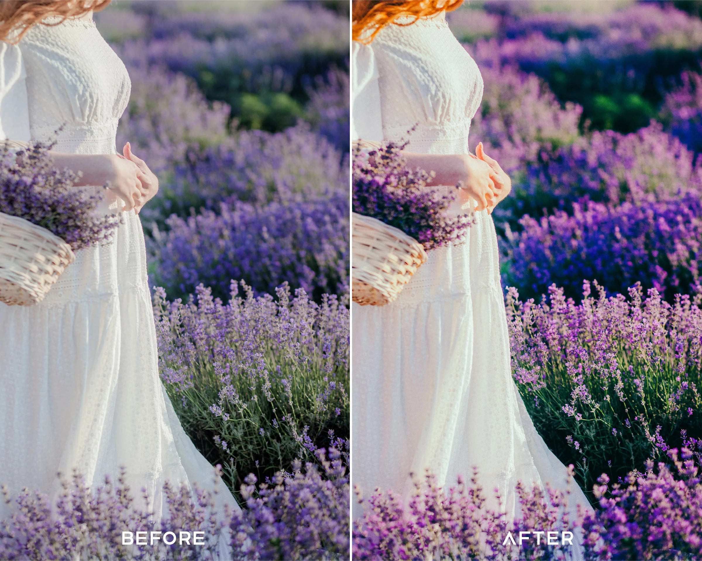 Lavender Preset Collection - Image 6