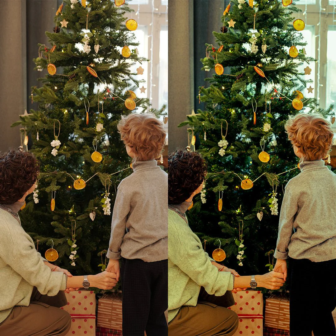 Mistletoe Moments Preset Collection - Image 10