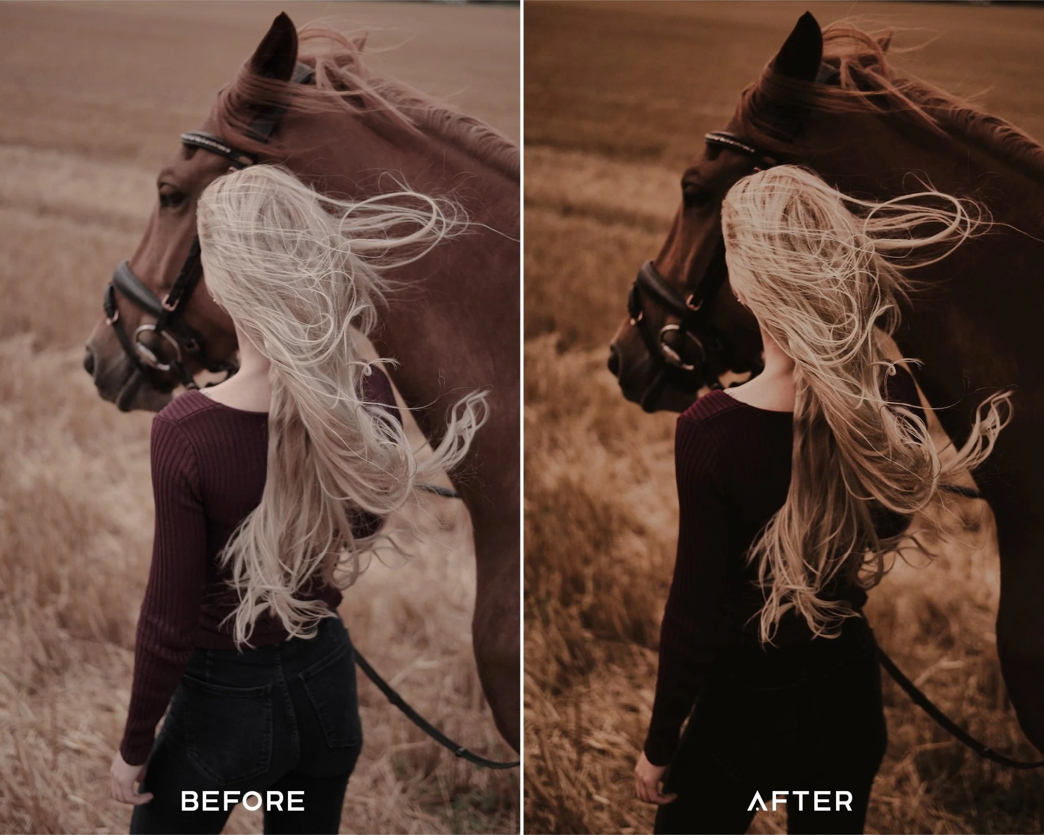 Moody Brown Preset Collection - Image 5