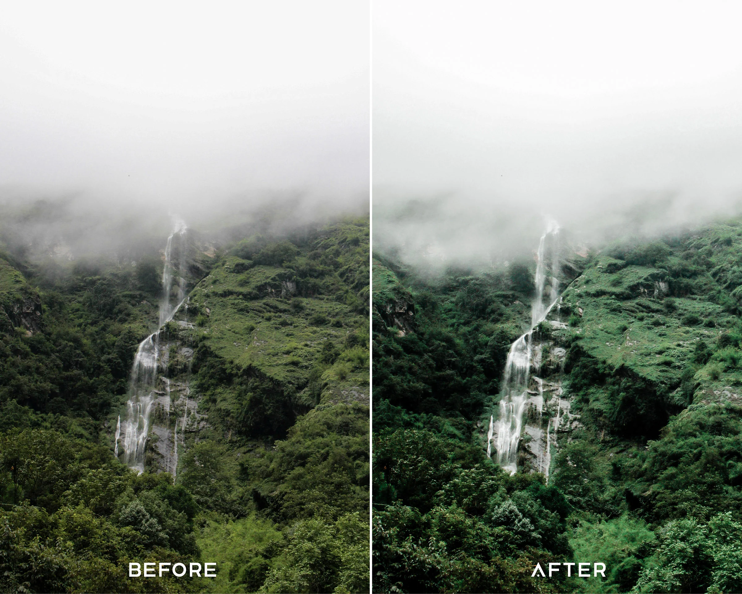 Moody Tropical Preset Collection - Image 3