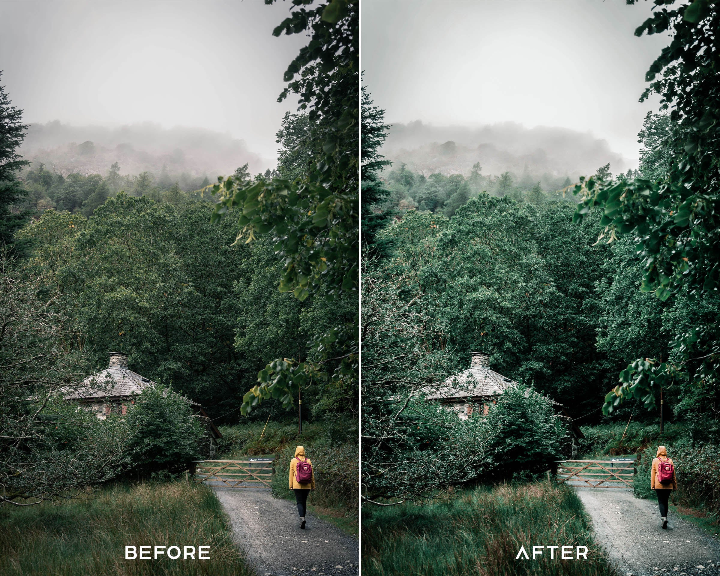 Moody Tropical Preset Collection - Image 5