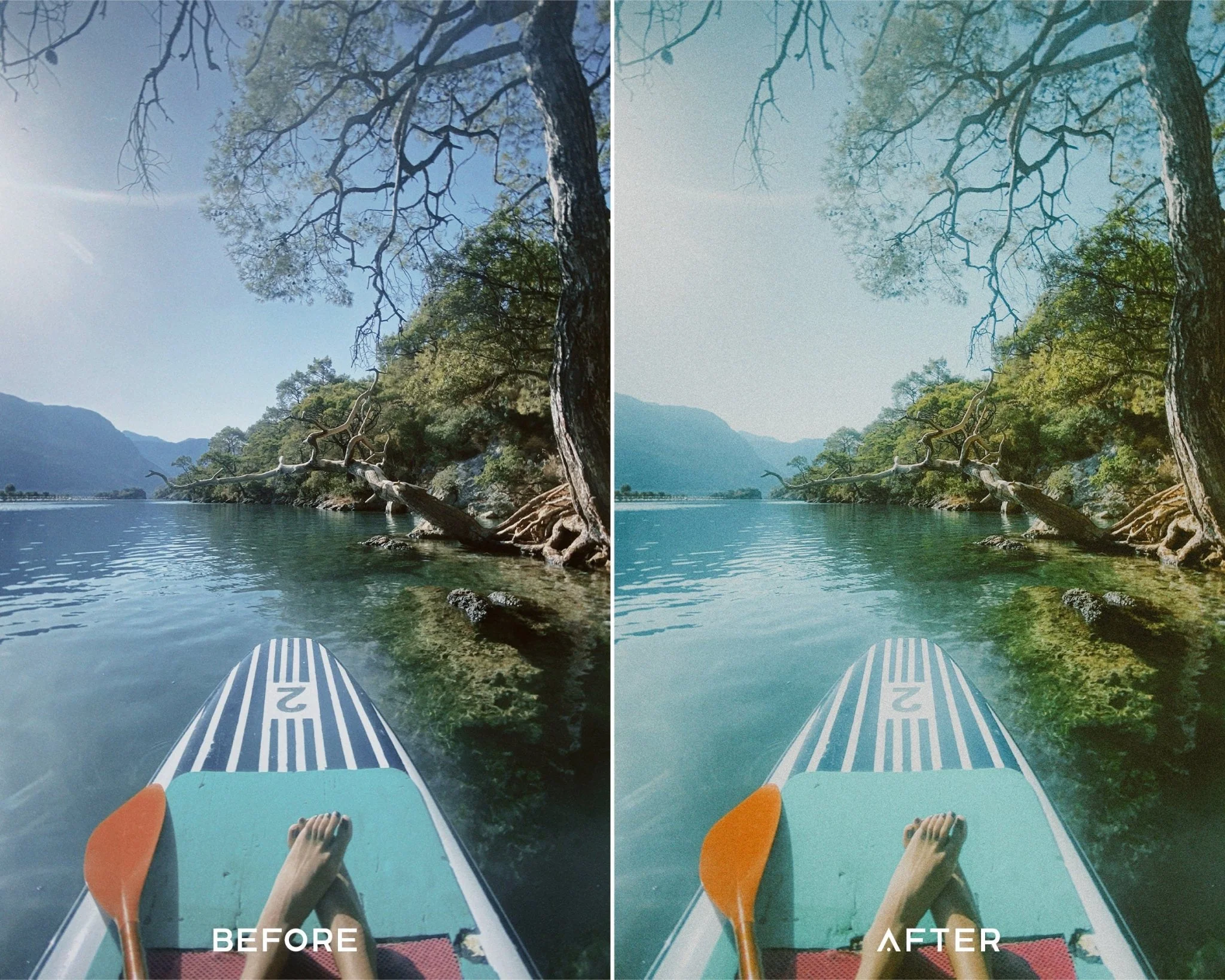 Portra 400 Preset Collection - Image 3