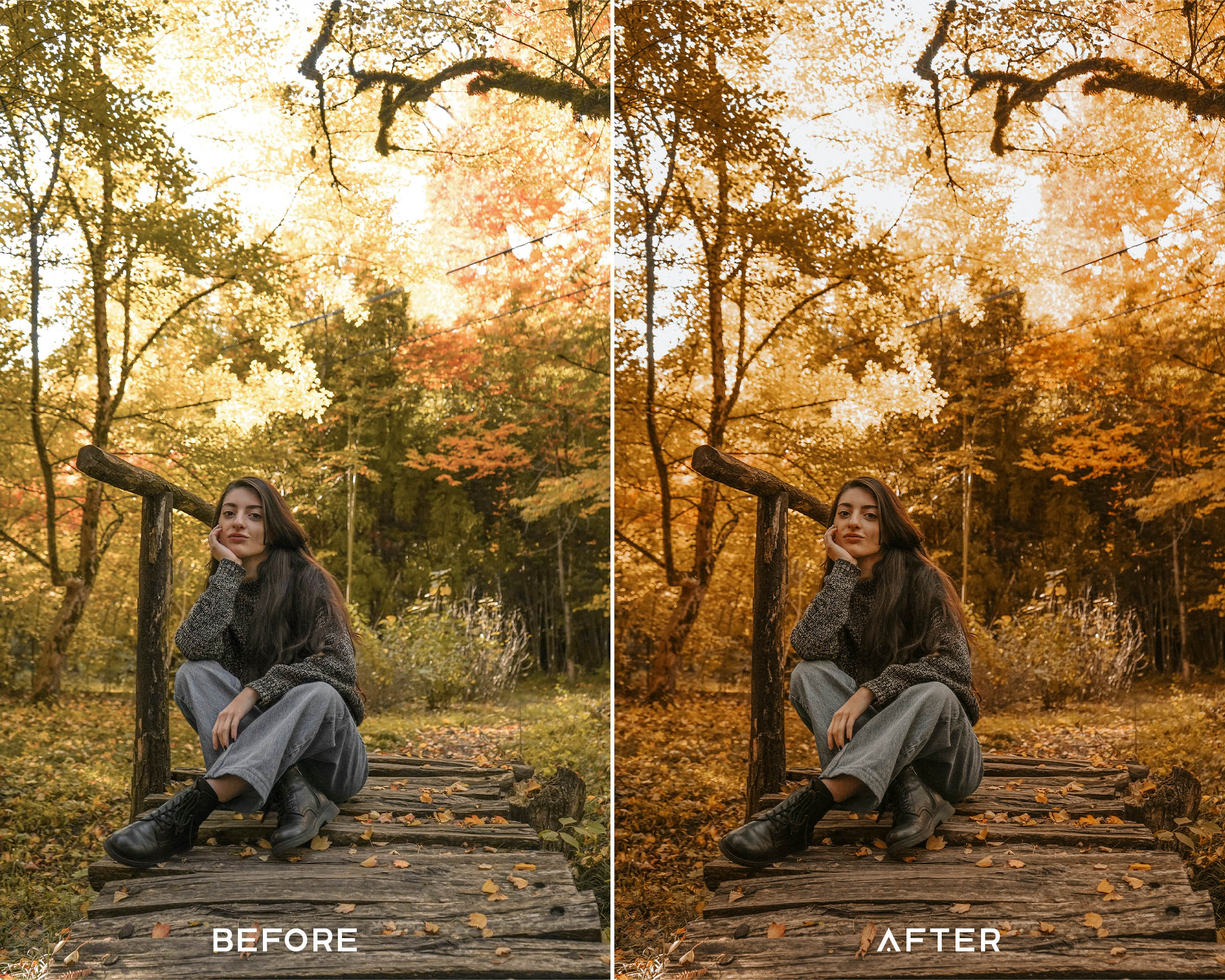 Pumpkin Spice Preset Collection - Image 2