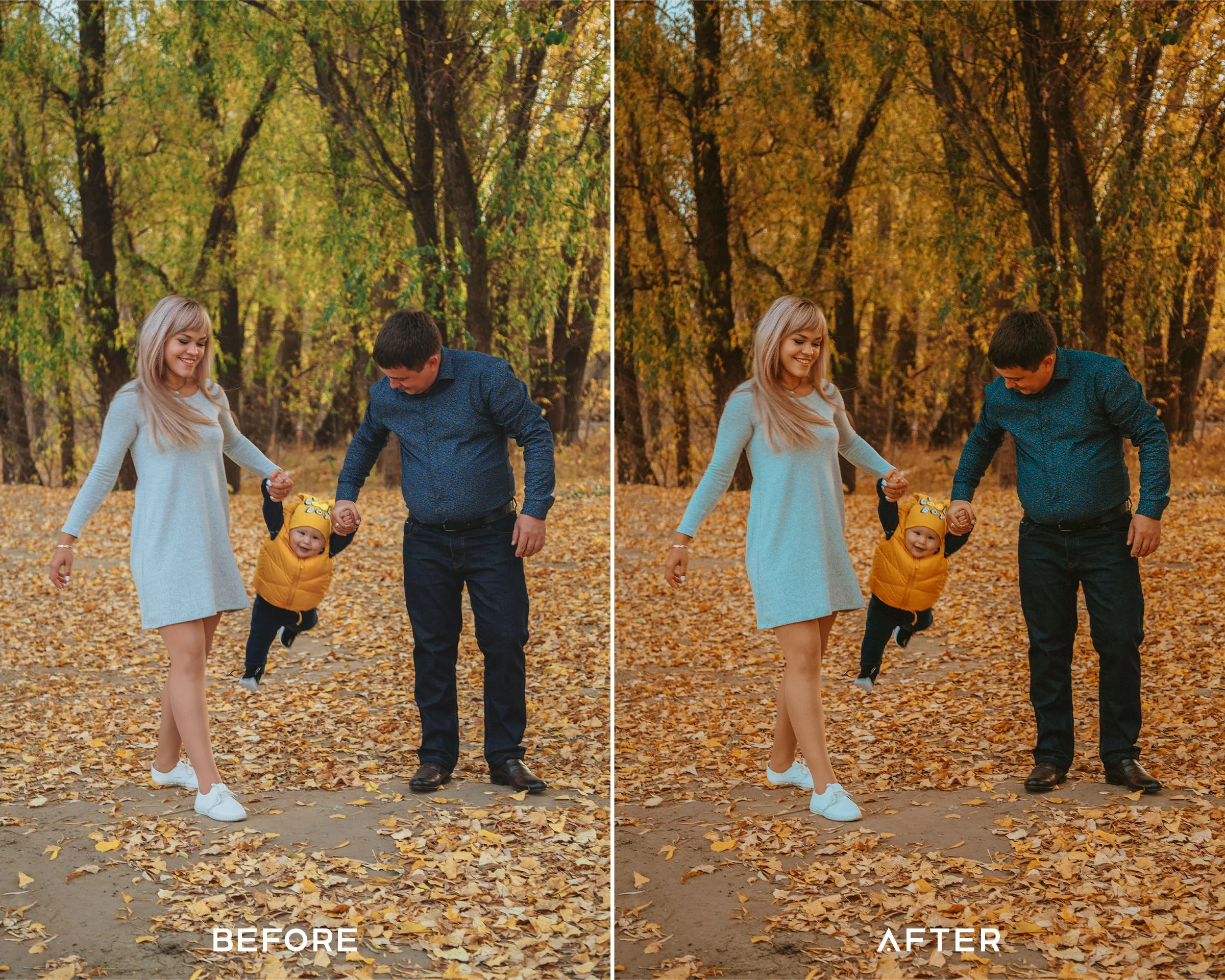 Pumpkin Spice Preset Collection - Image 3