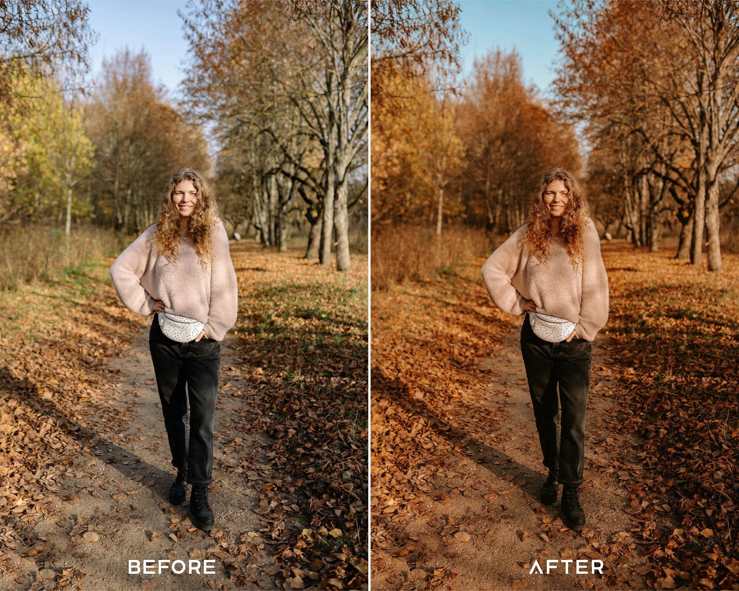 Pumpkin Spice Preset Collection - Image 5