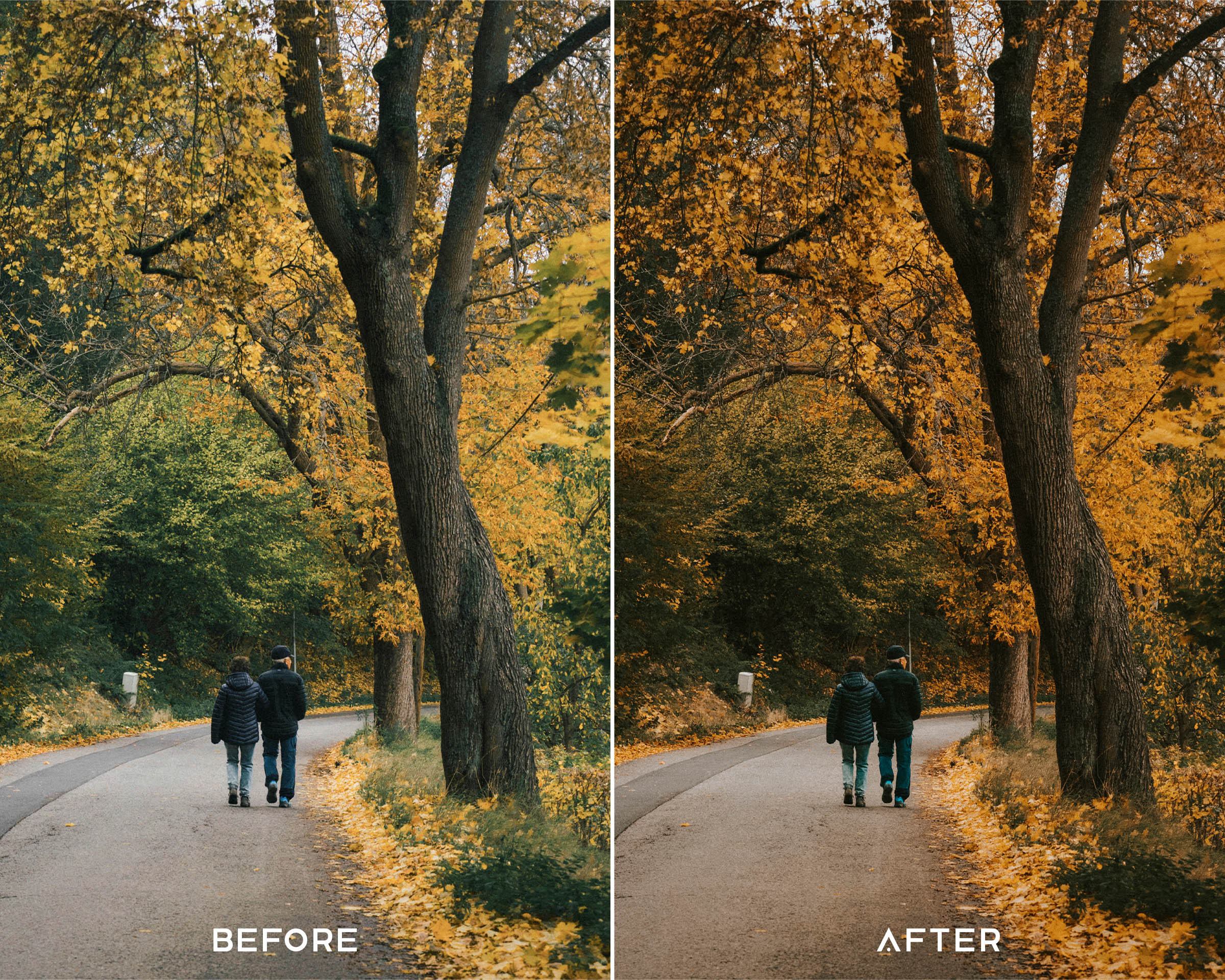 Pumpkin Spice Preset Collection - Image 6