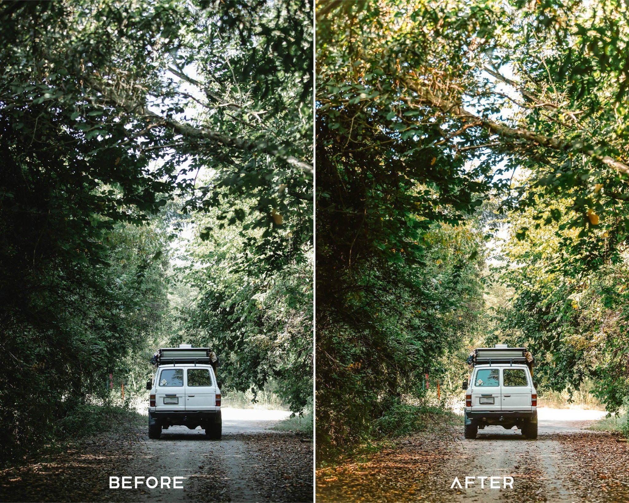 Tenefire Preset Collection - Image 4