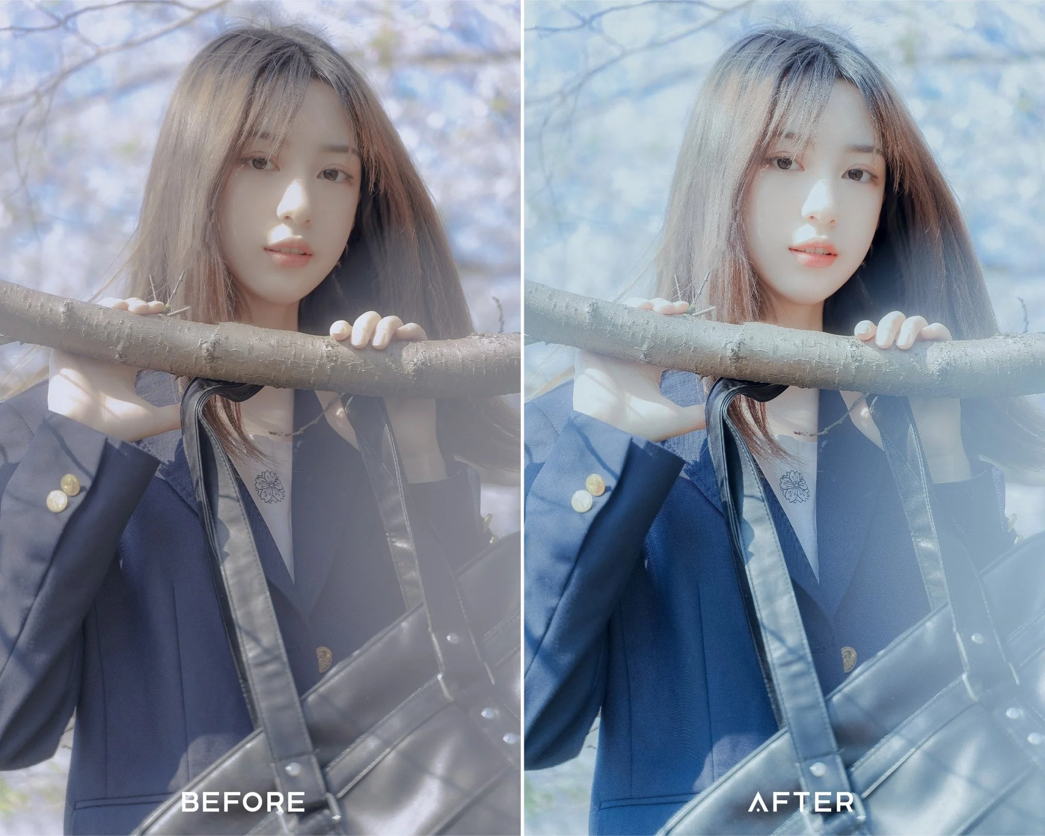 Tokyo Blues - Luminar NEO Presets - Image 5